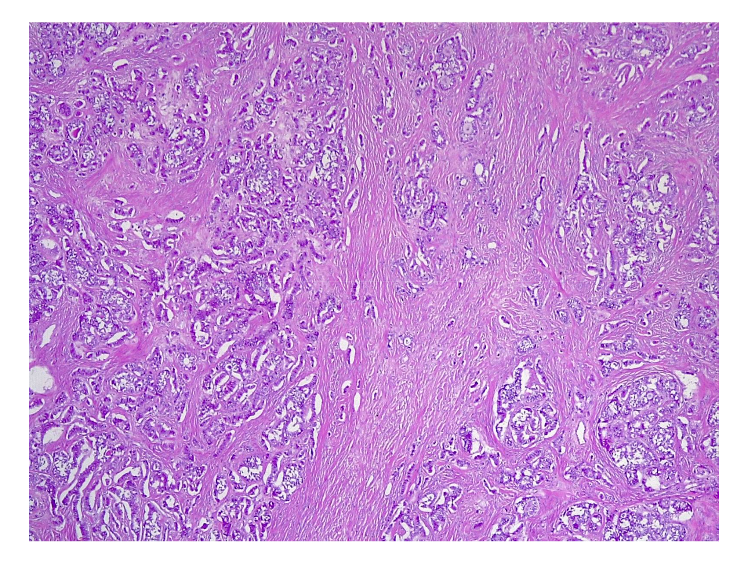 Applsci 11 09427 g009 Applsci 11 09427 g009