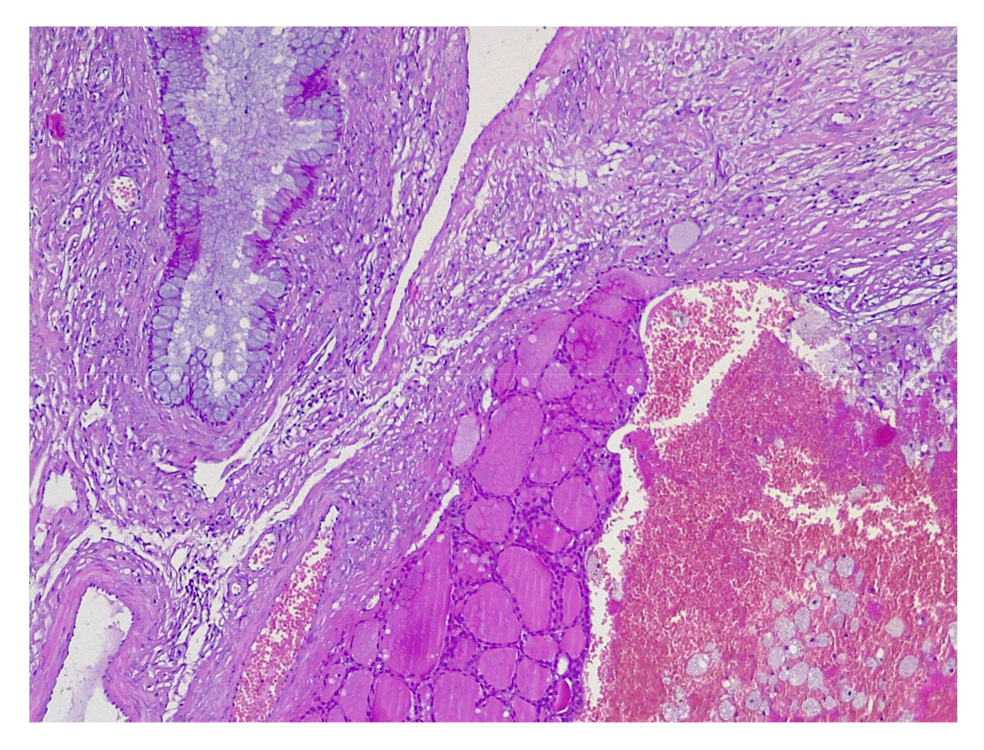 Applsci 11 09427 g010 Applsci 11 09427 g010