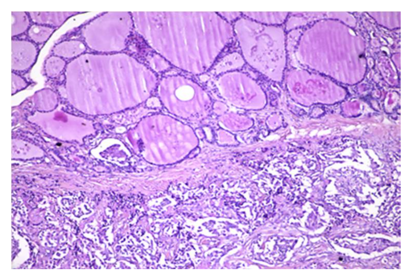 Applsci 11 09427 g011 Applsci 11 09427 g011