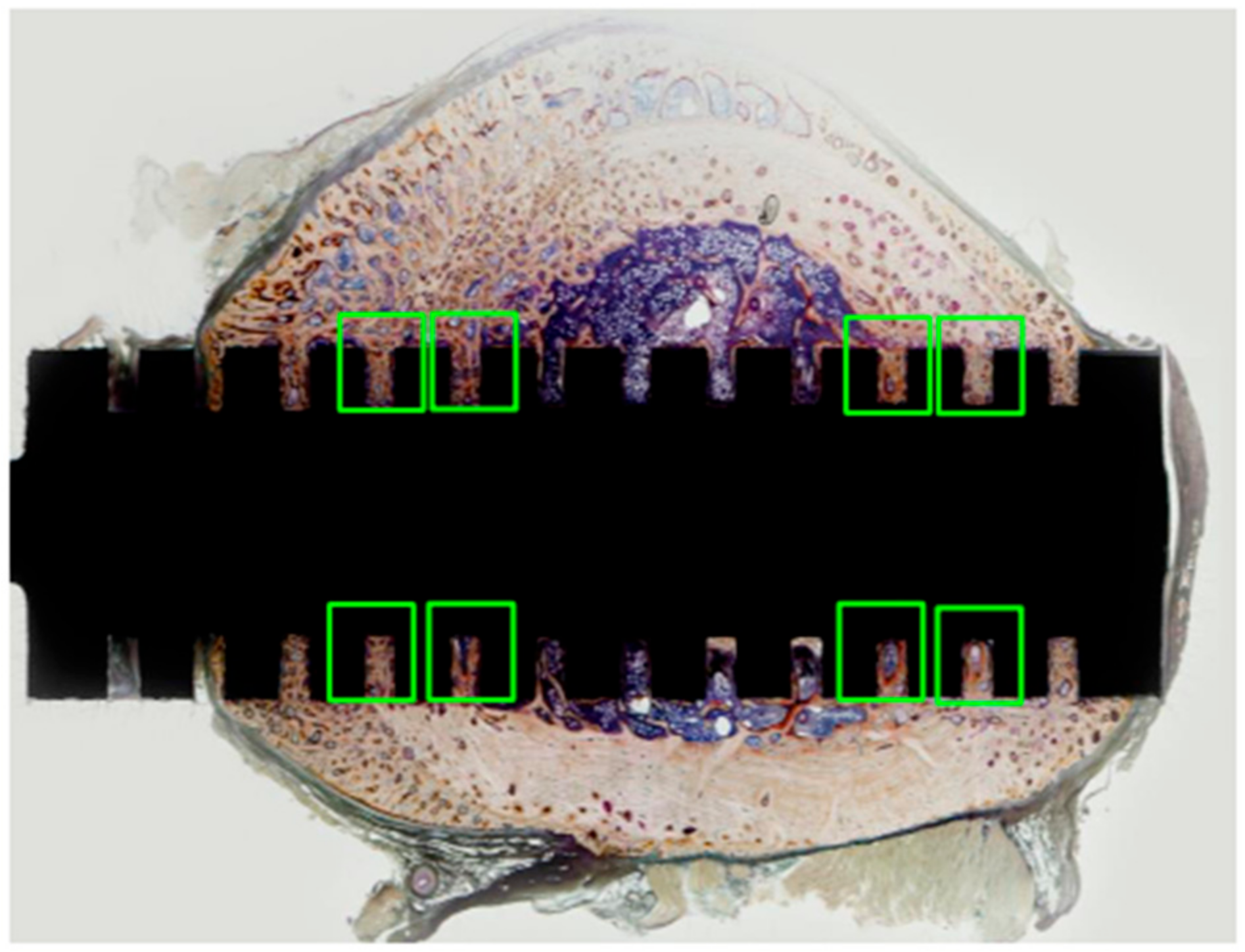 Applsci 11 09451 g004 550