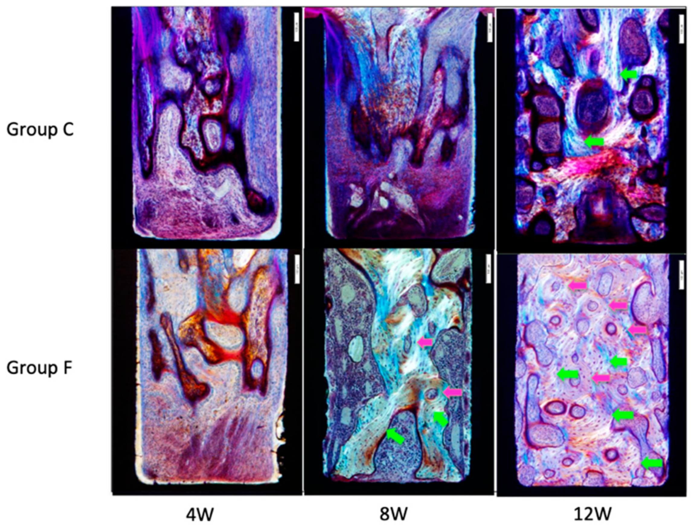 Applsci 11 09451 g006 550