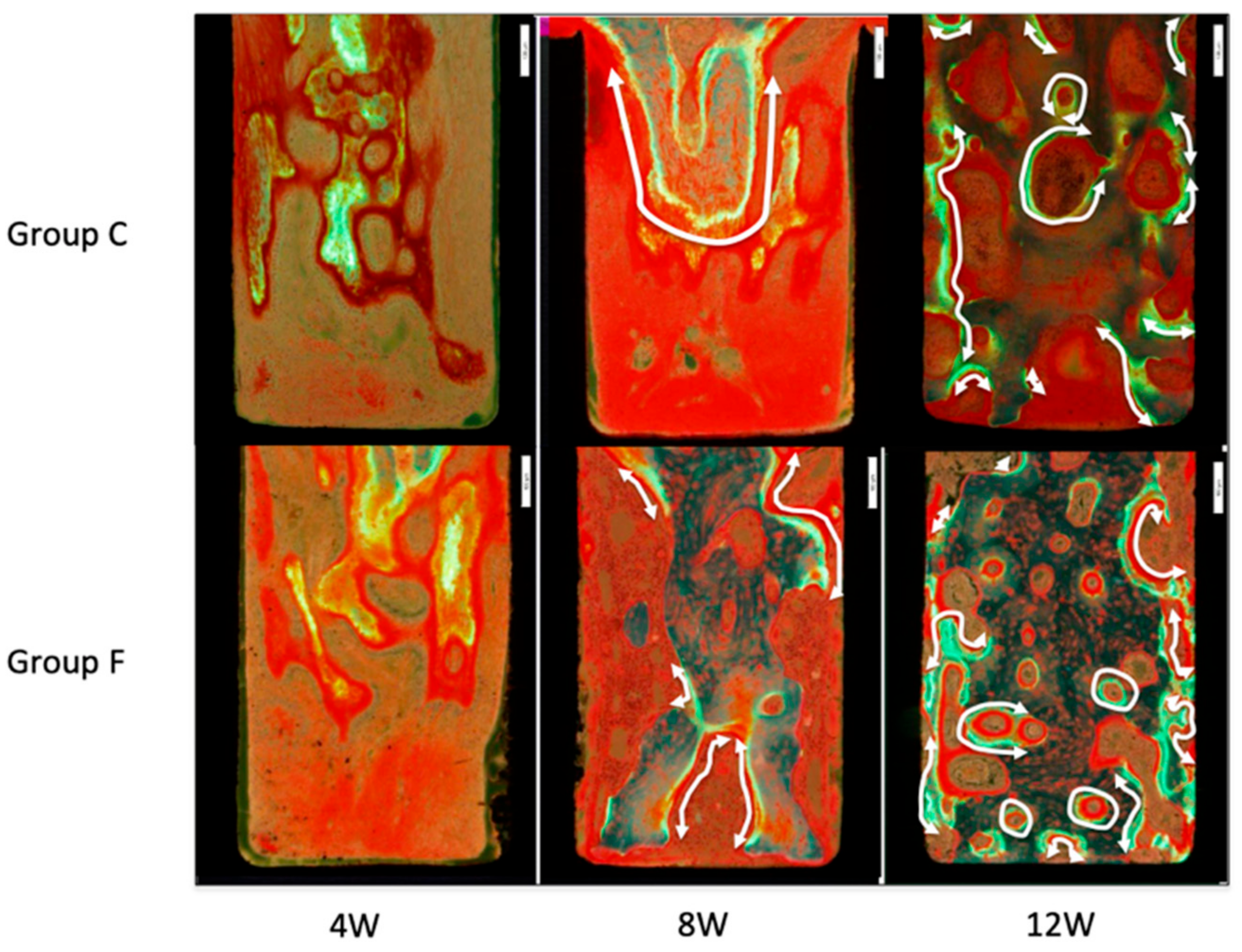 Applsci 11 09451 g007 550