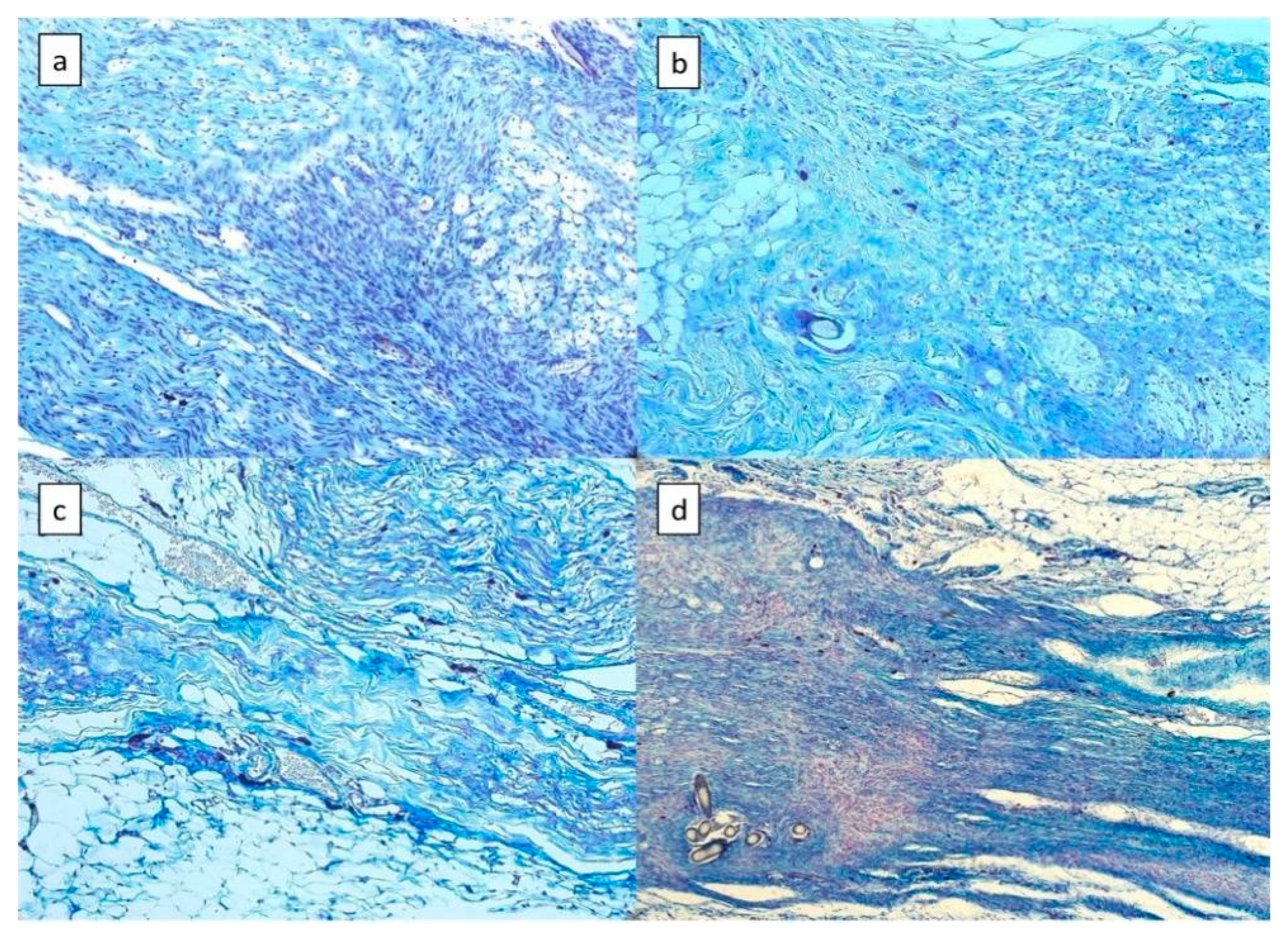 Applsci 11 09465 g002 Applsci 11 09465 g002