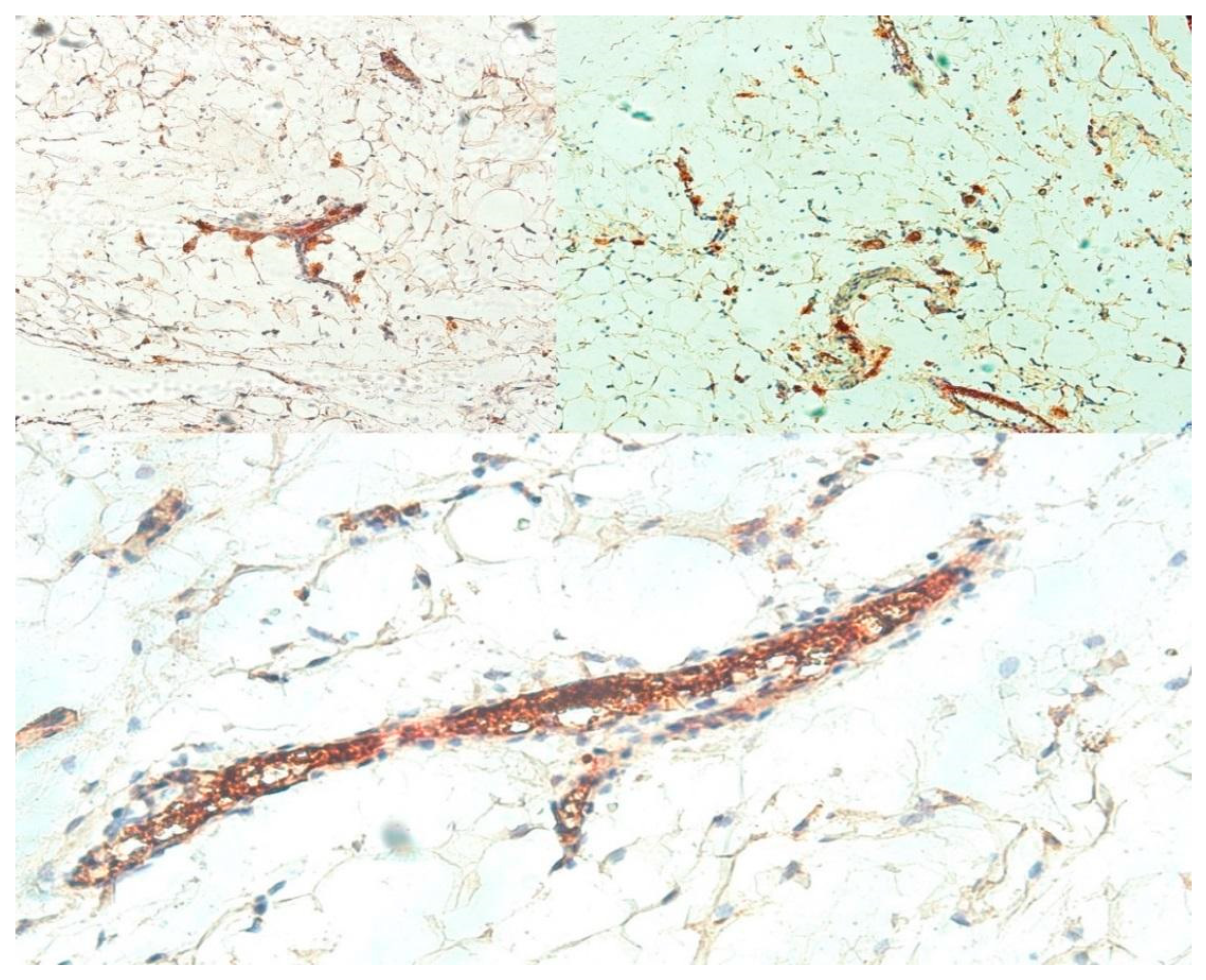 Applsci 11 09465 g004 Applsci 11 09465 g004