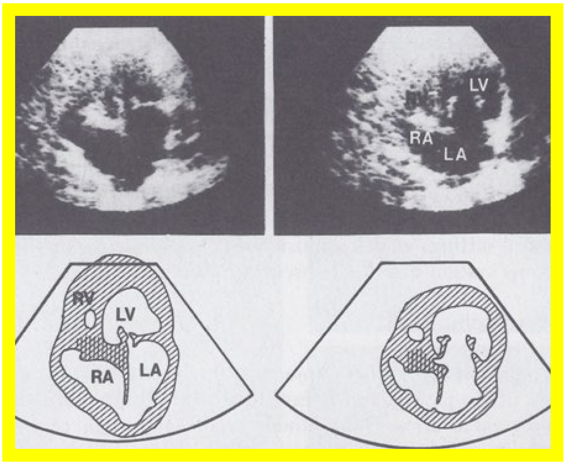 Applsci 11 09472 g003