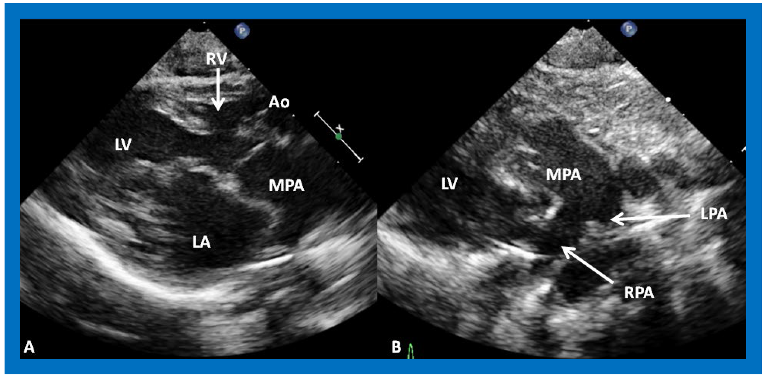 Applsci 11 09472 g011