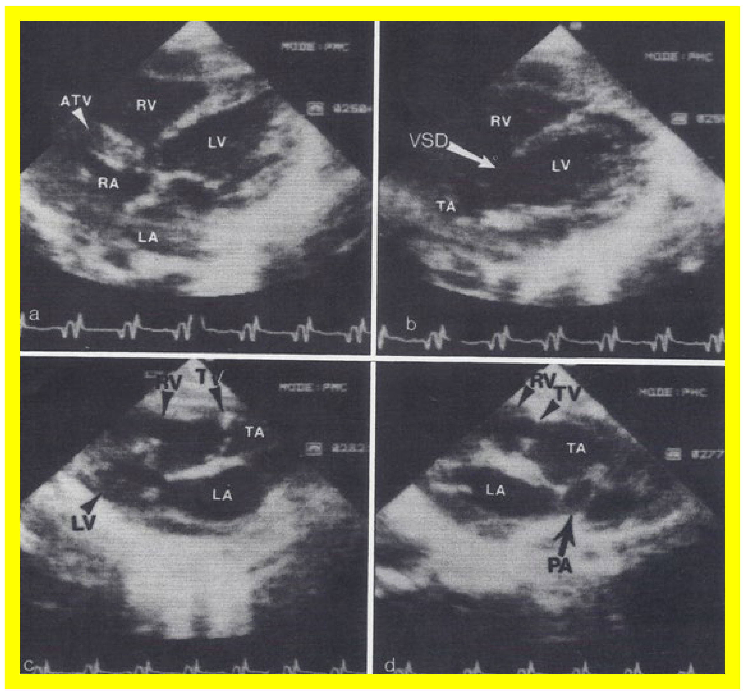 Applsci 11 09472 g013