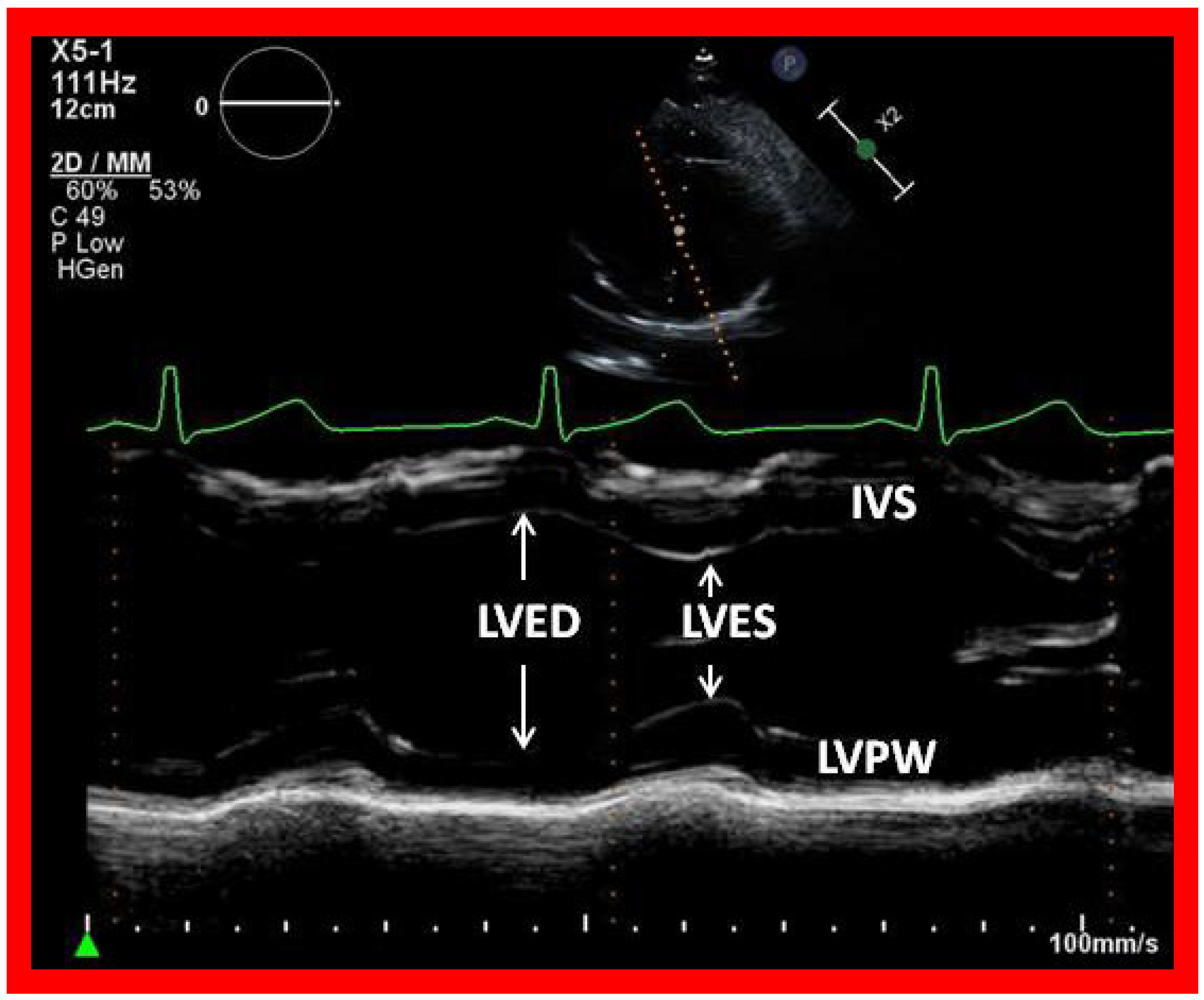 Applsci 11 09472 g017