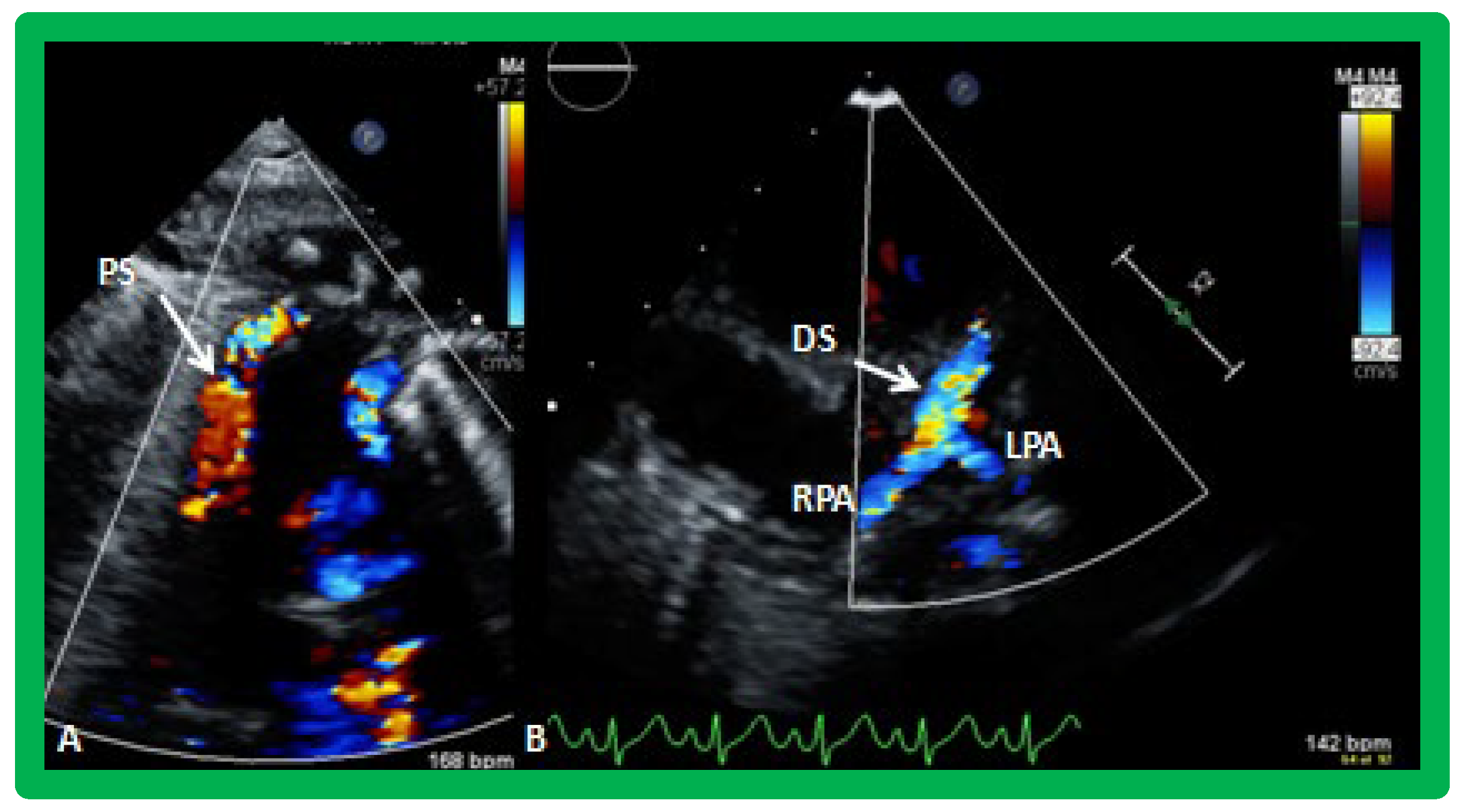 Applsci 11 09472 g019
