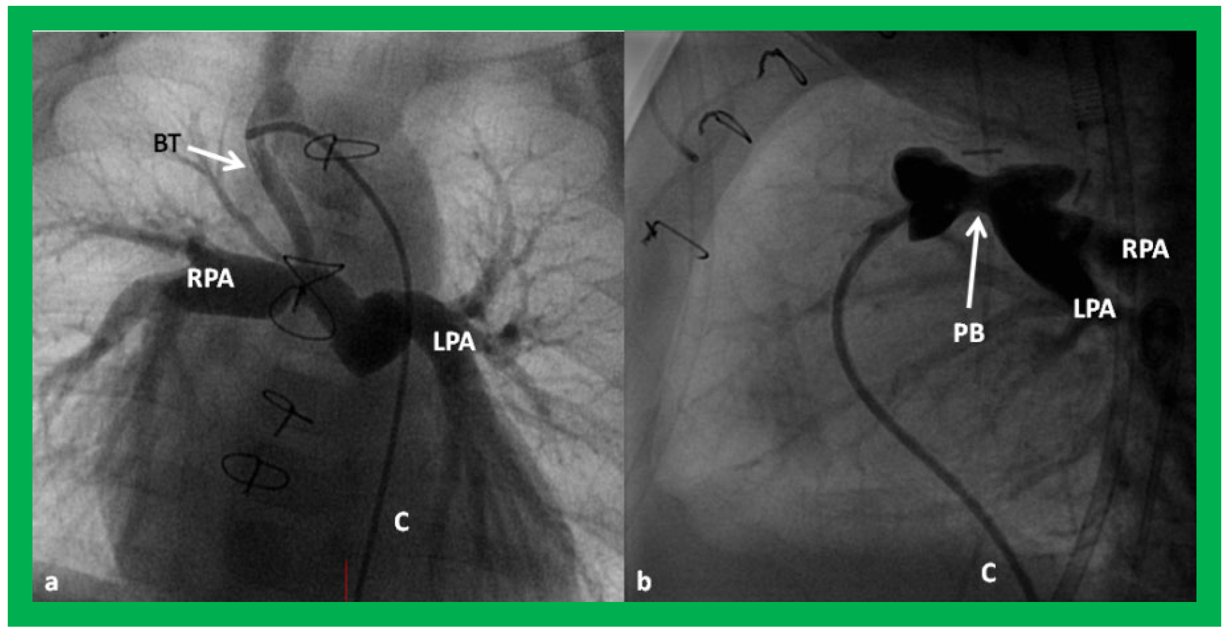 Applsci 11 09472 g024