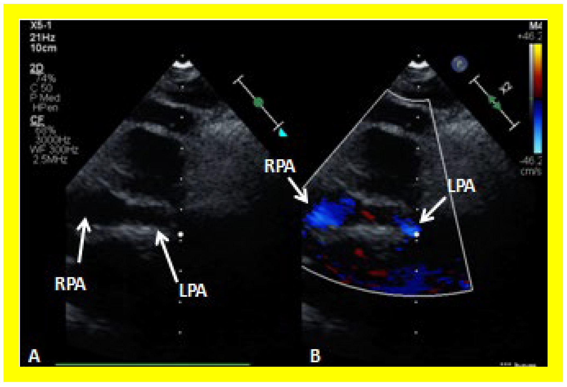 Applsci 11 09472 g028