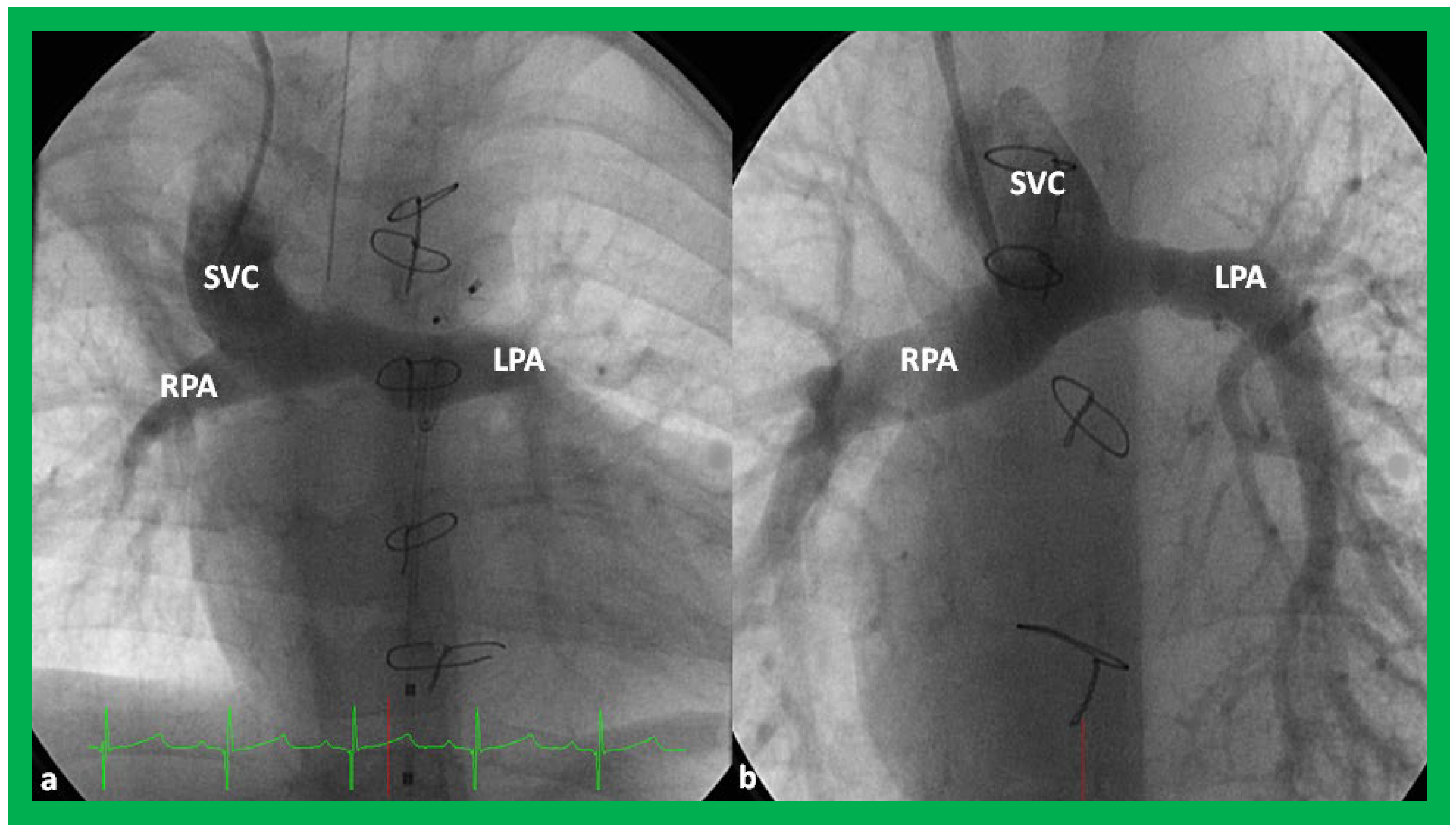 Applsci 11 09472 g029