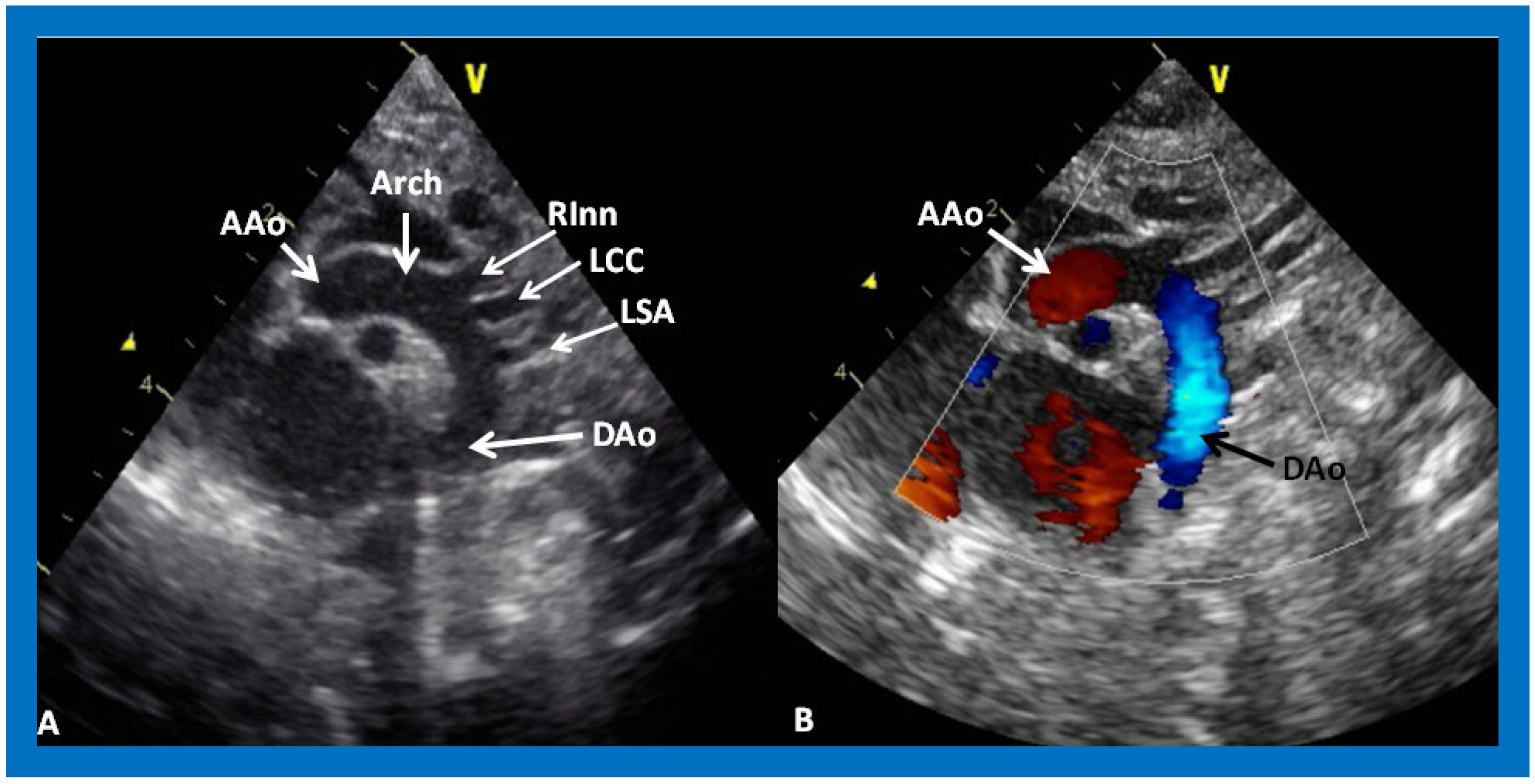 Applsci 11 09472 g031