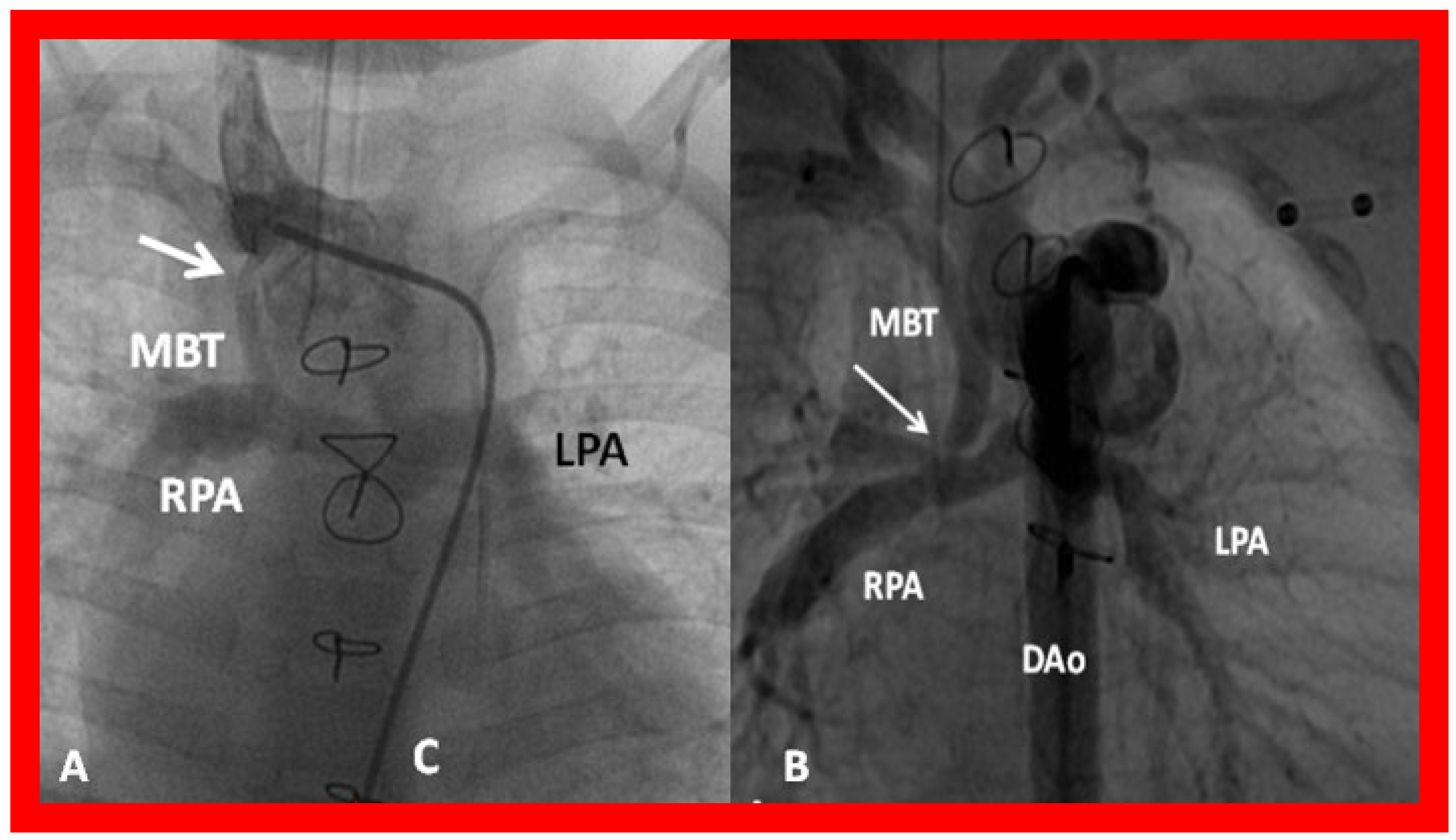 Applsci 11 09472 g037