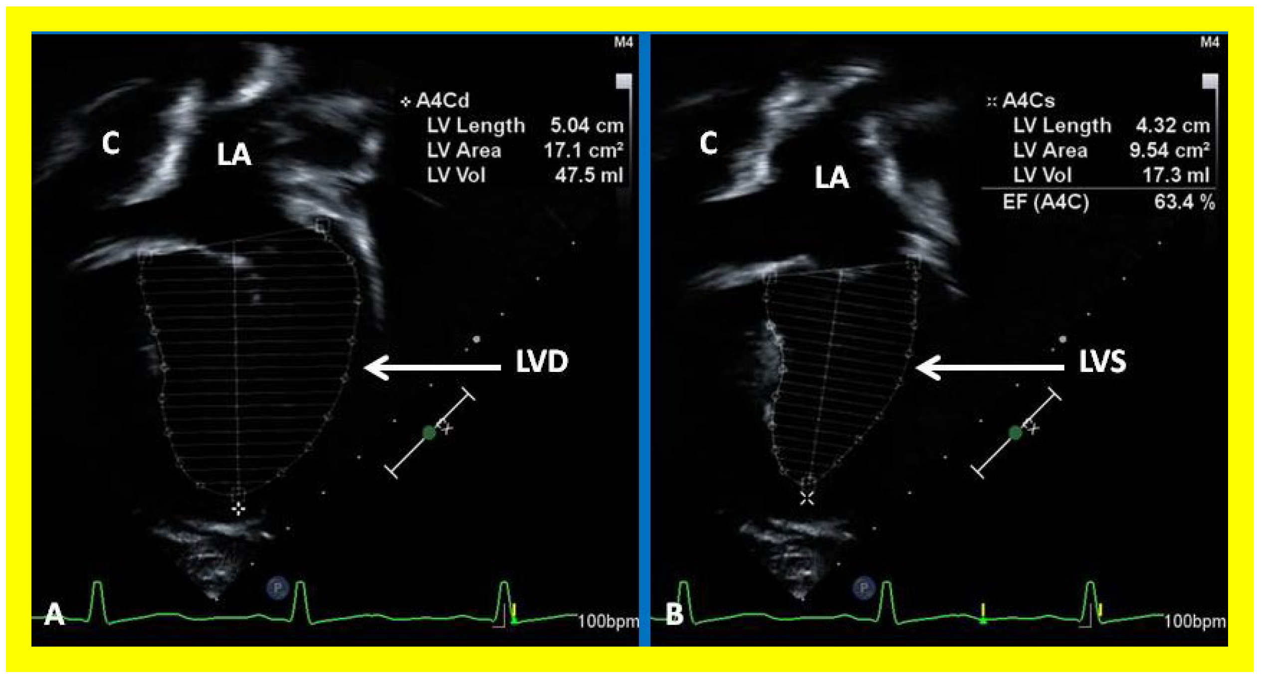 Applsci 11 09472 g038