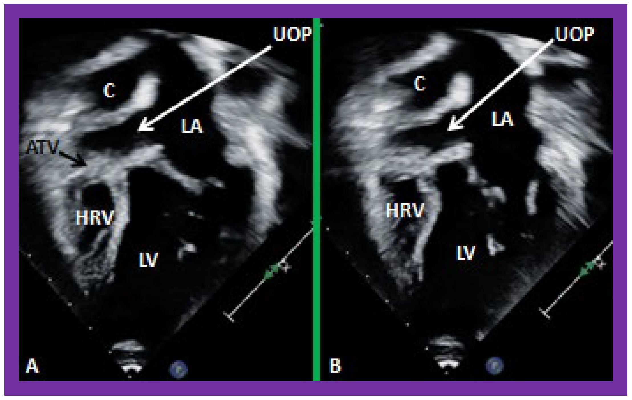 Applsci 11 09472 g040