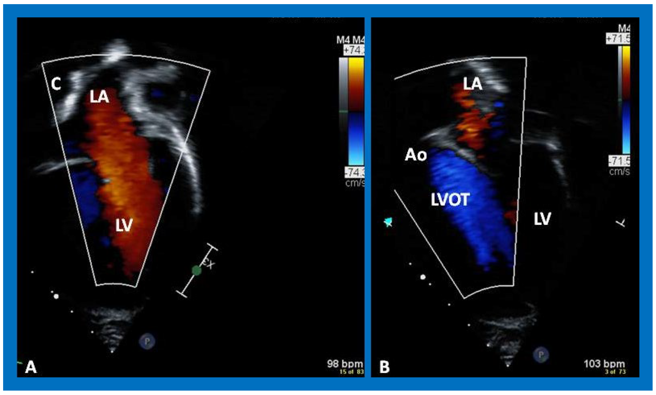 Applsci 11 09472 g041