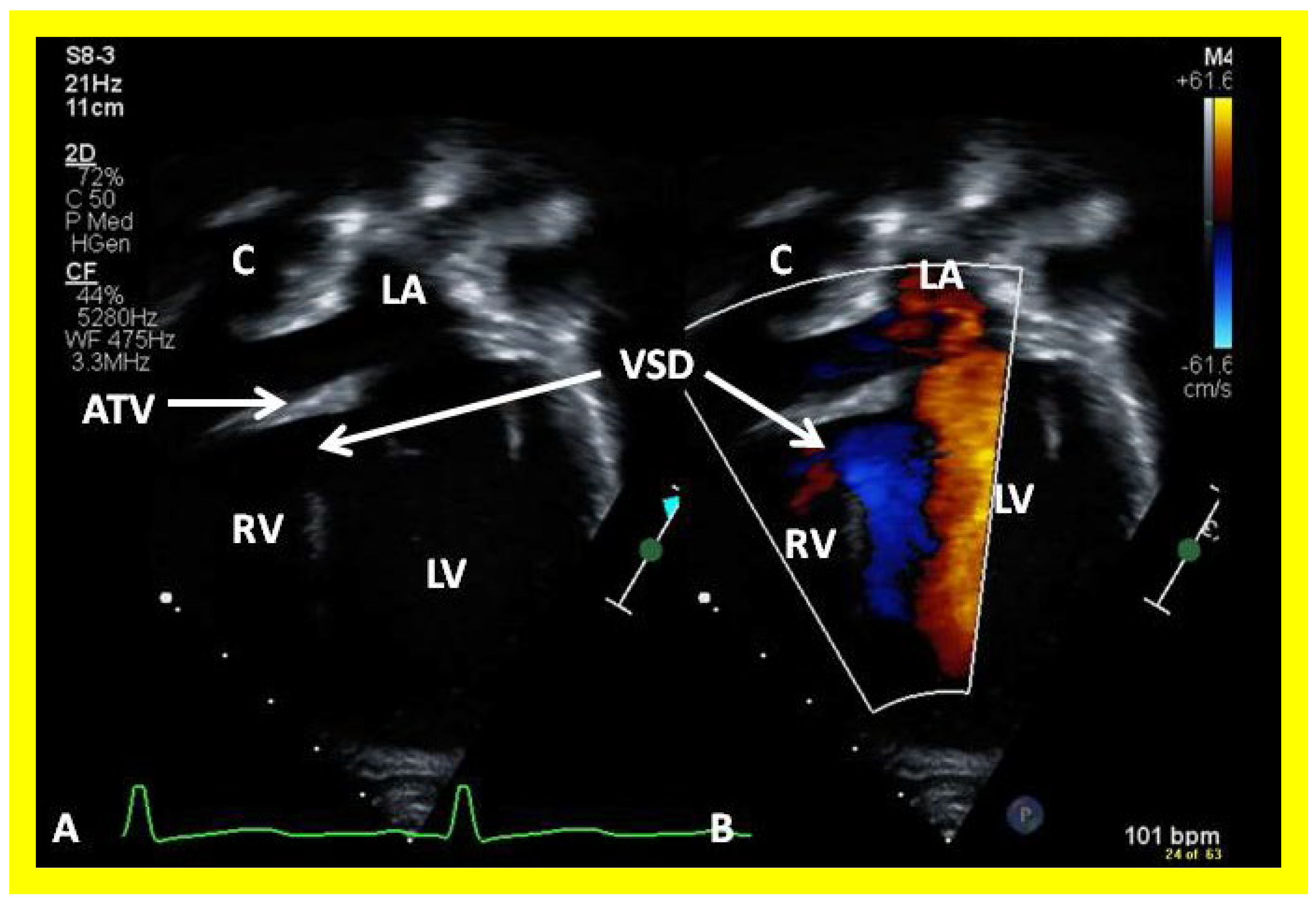 Applsci 11 09472 g043