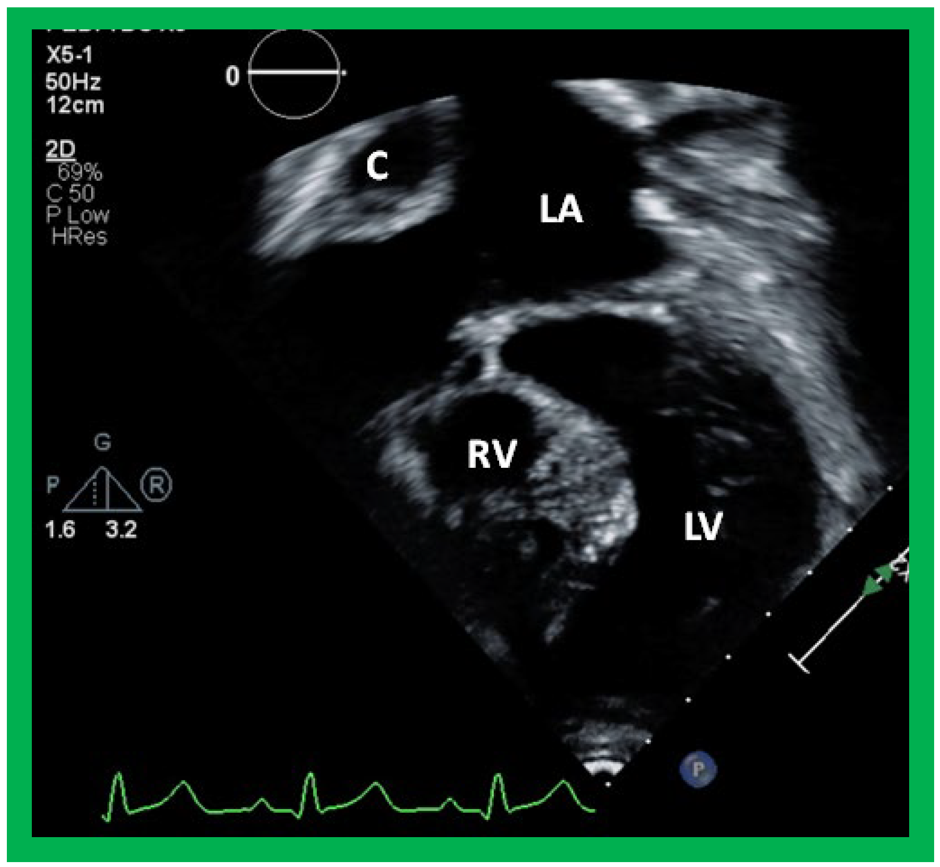 Applsci 11 09472 g044