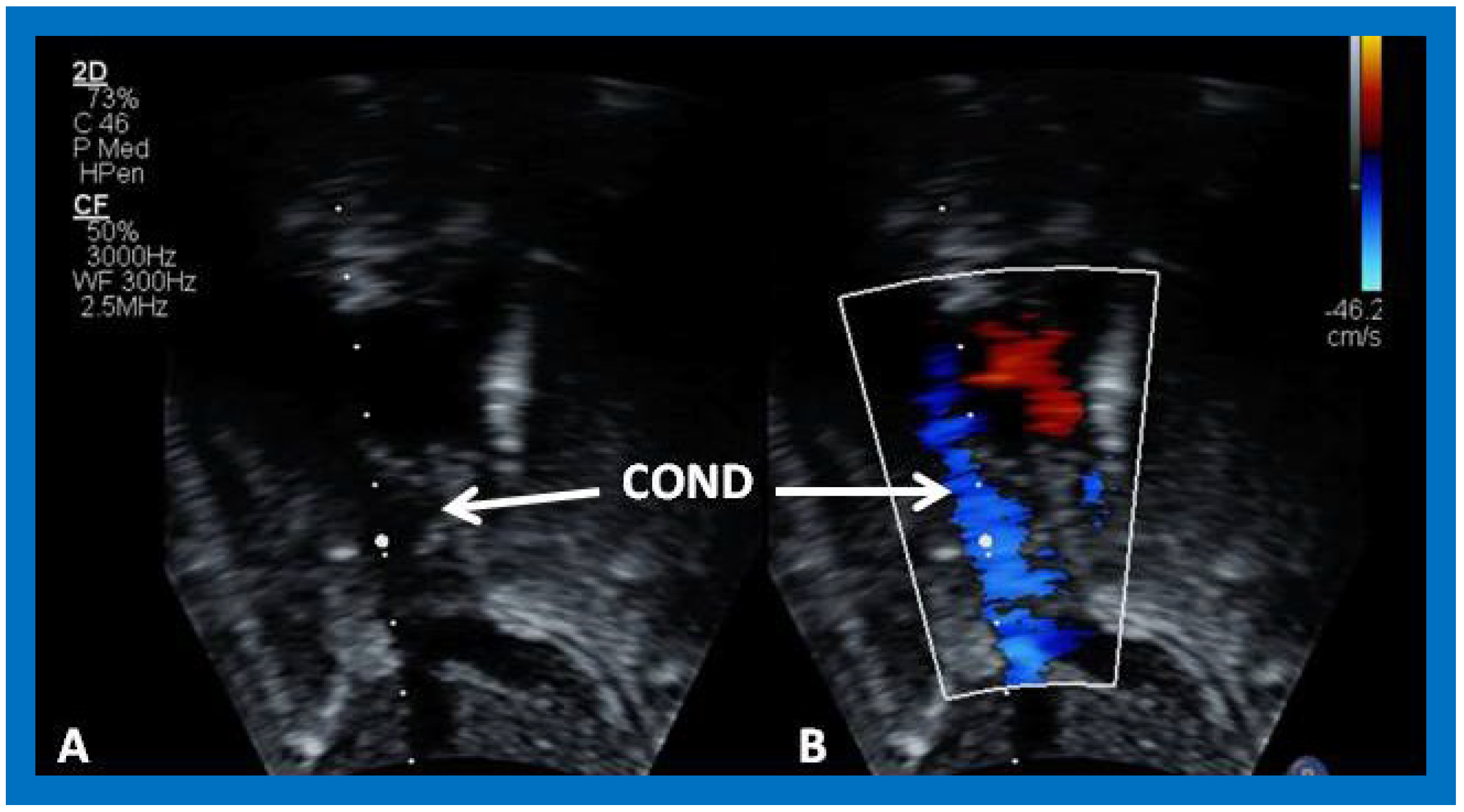 Applsci 11 09472 g046
