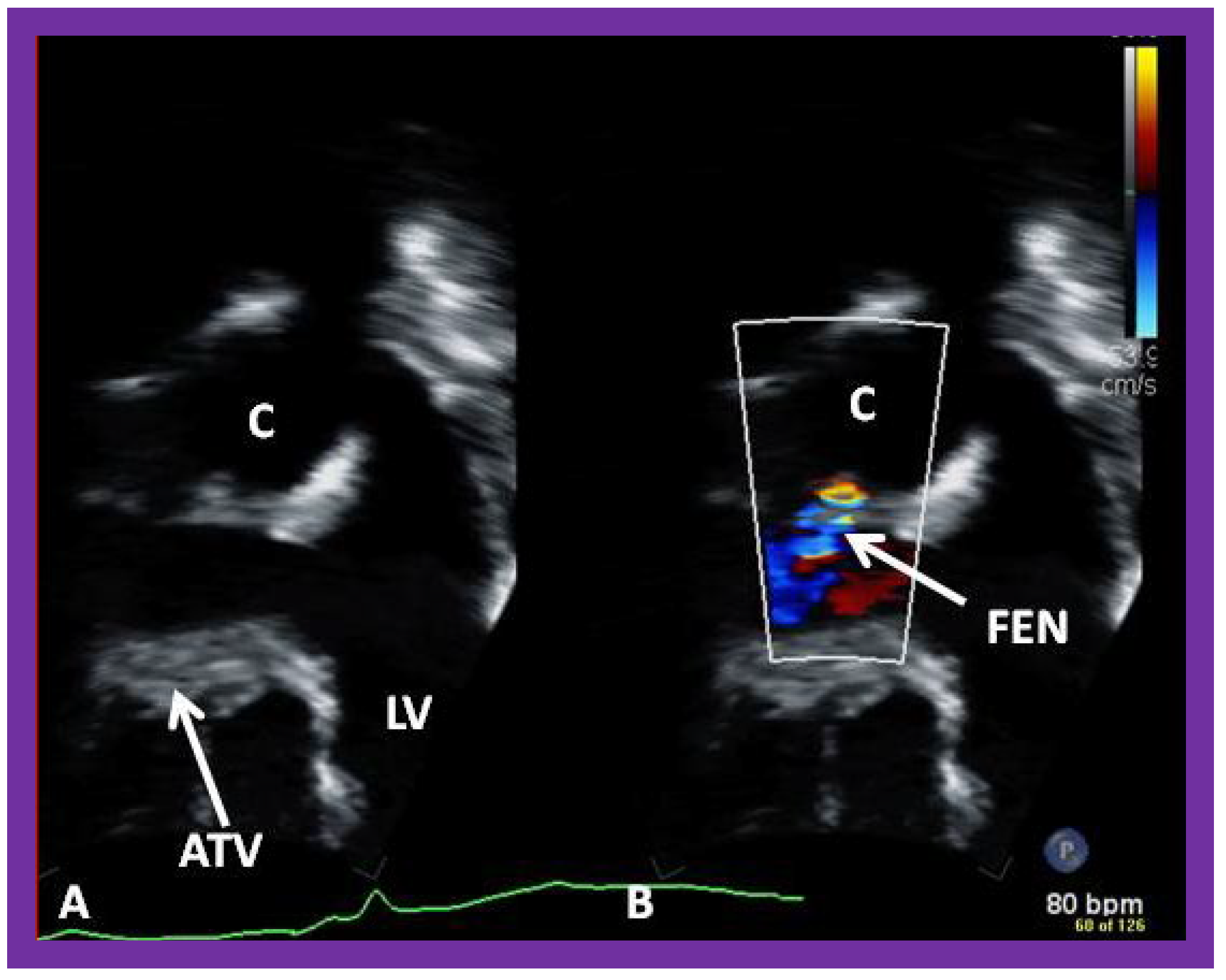 Applsci 11 09472 g050