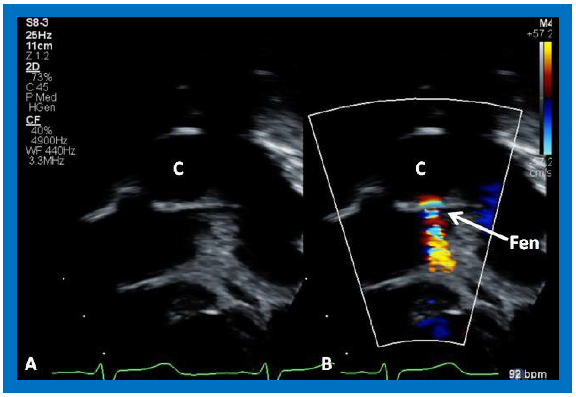 Applsci 11 09472 g051