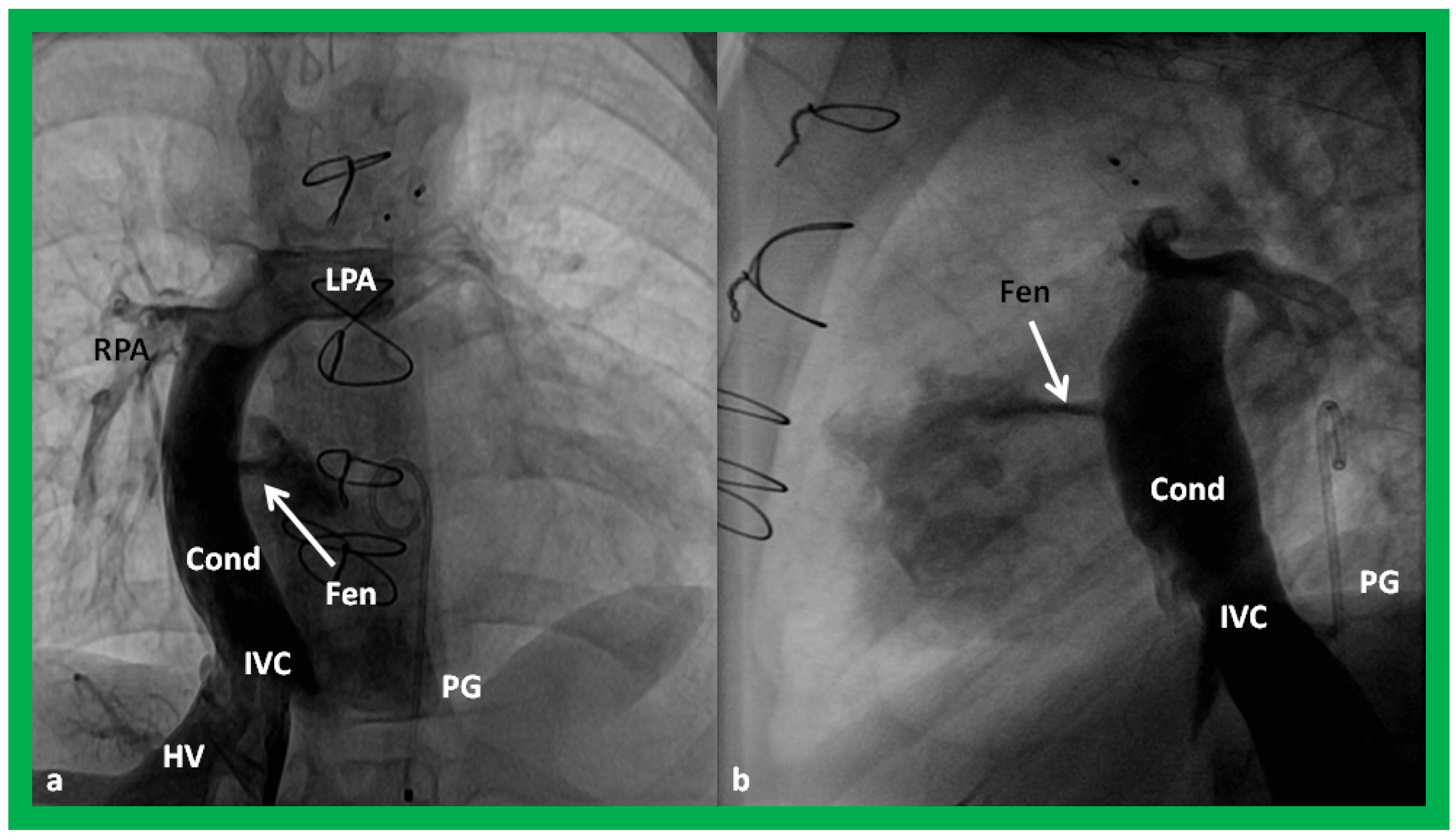 Applsci 11 09472 g054