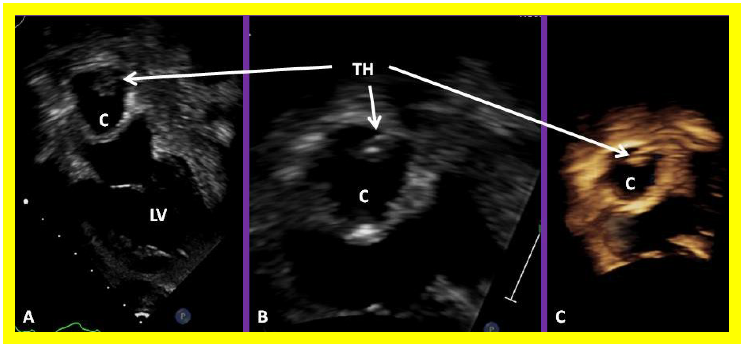 Applsci 11 09472 g058