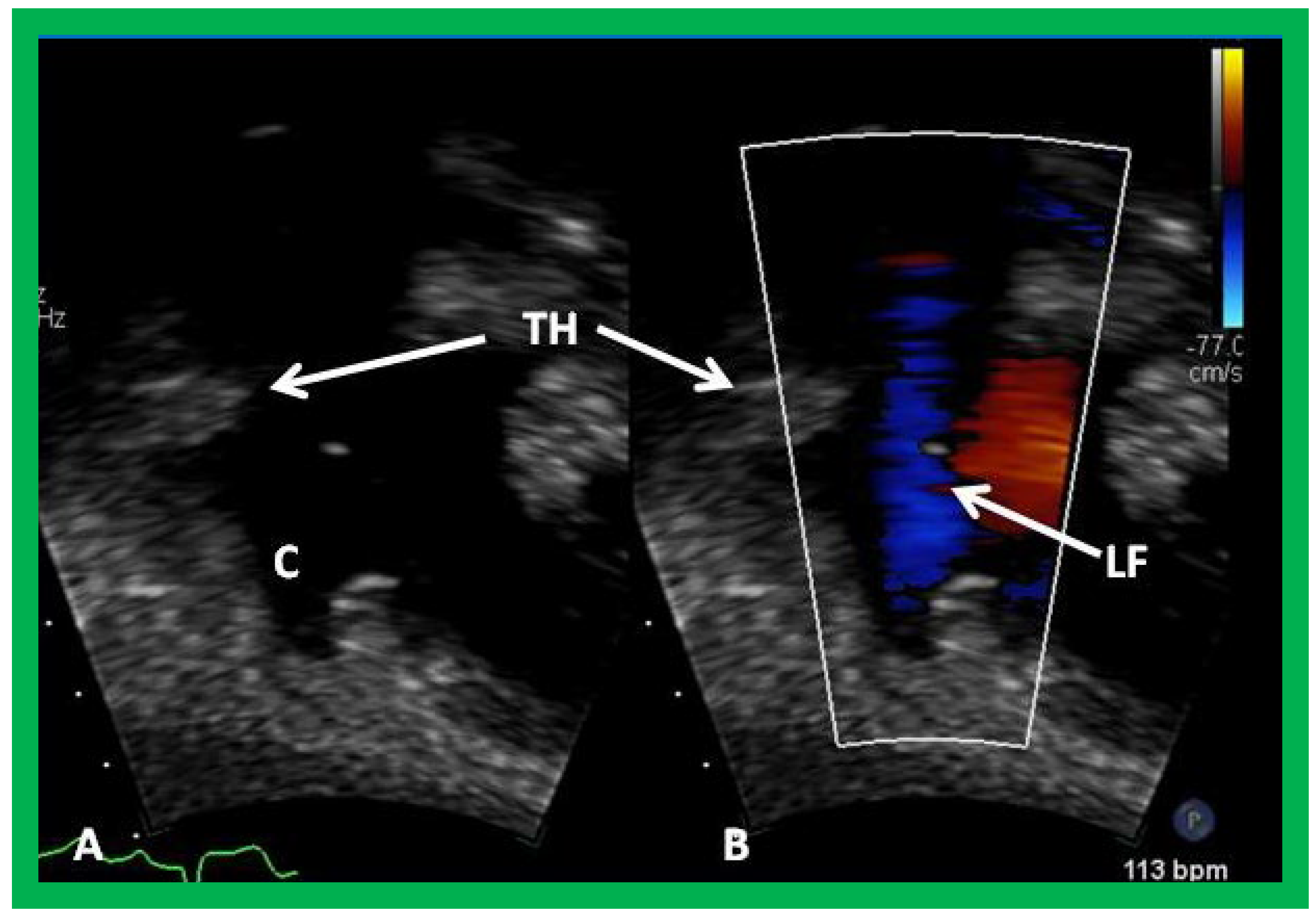 Applsci 11 09472 g059