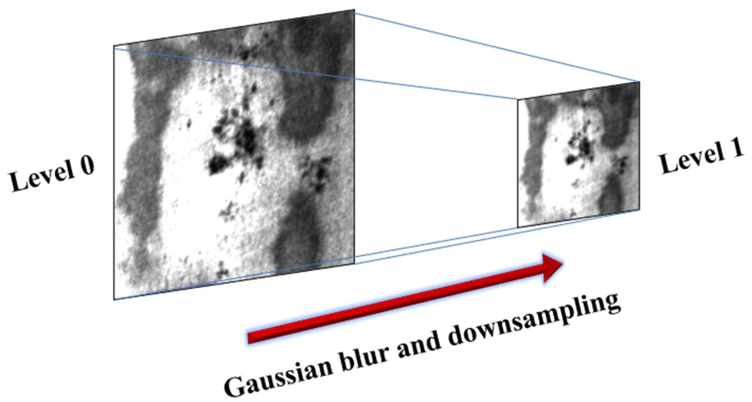 Applsci 11 09473 g001 550