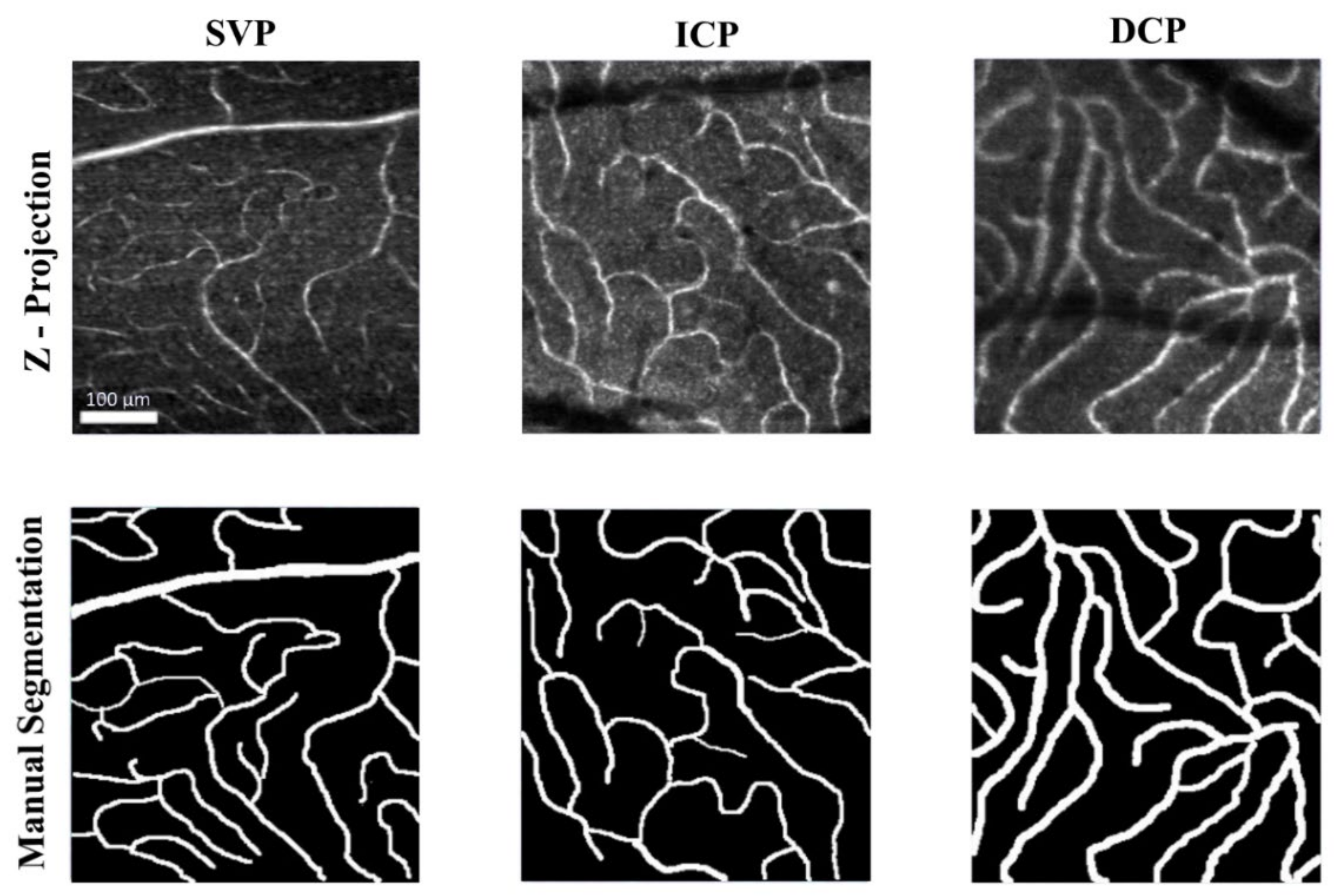 Applsci 11 09475 g002 Applsci 11 09475 g002