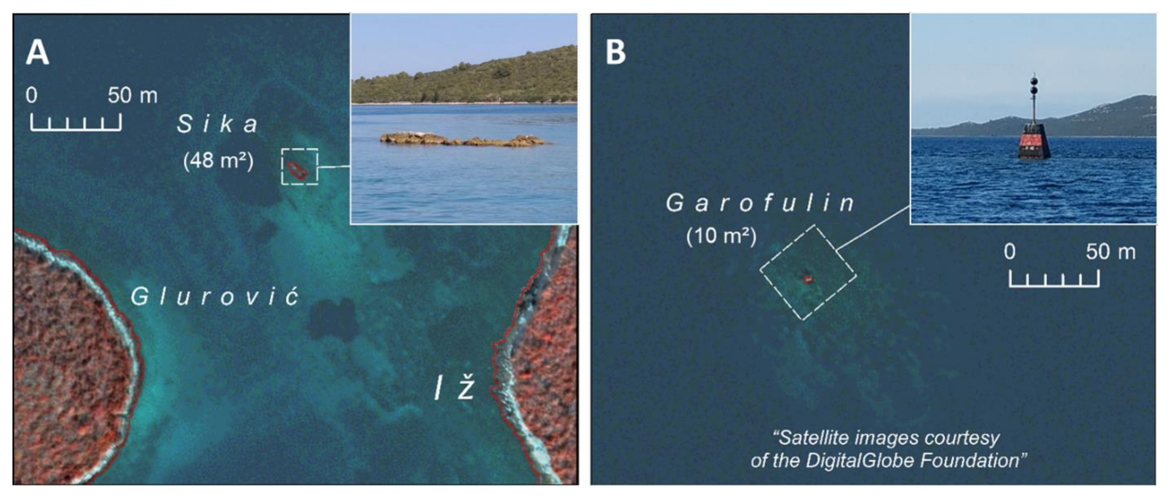 Applsci 11 09482 g009