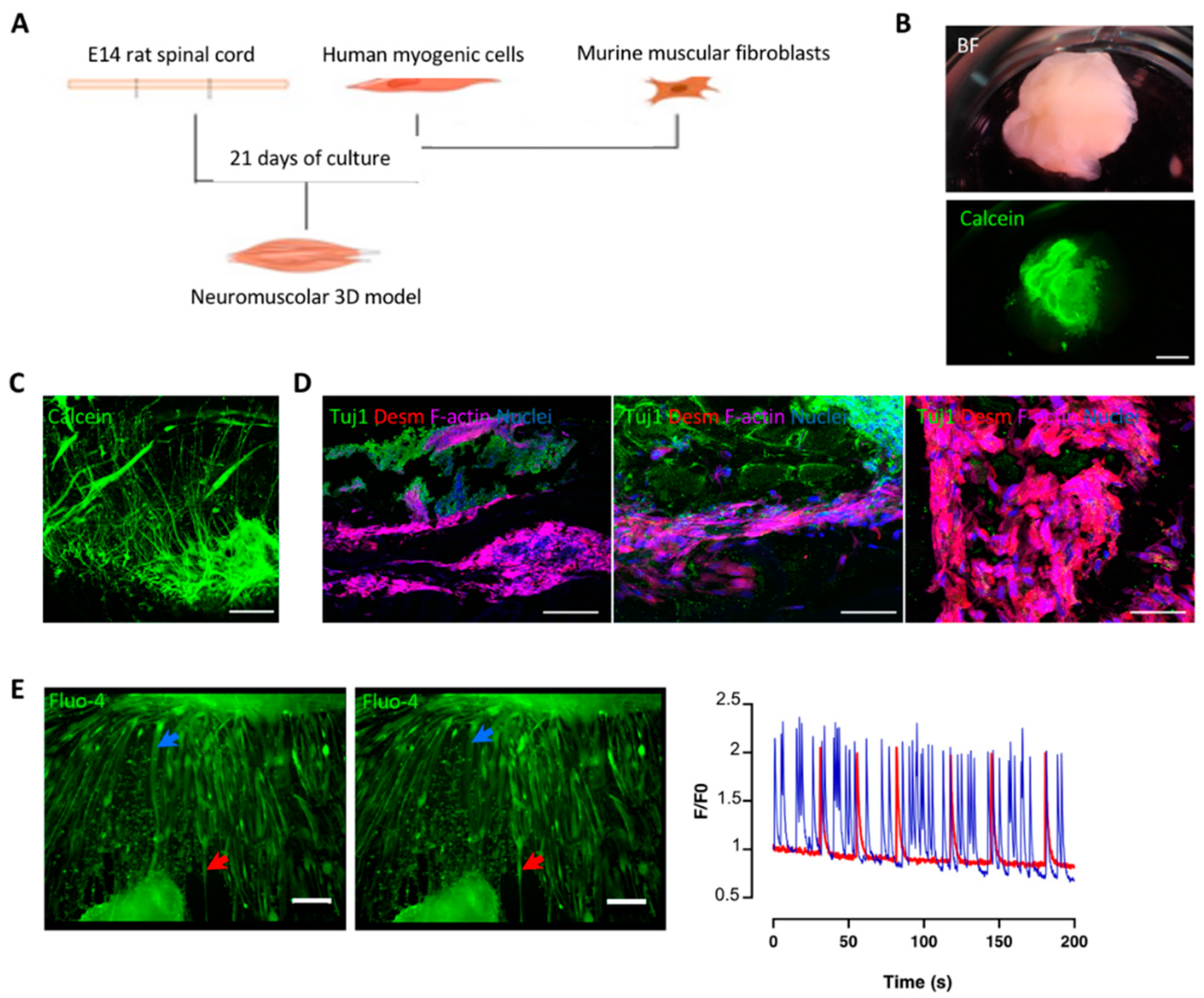 Applsci 11 09485 g002