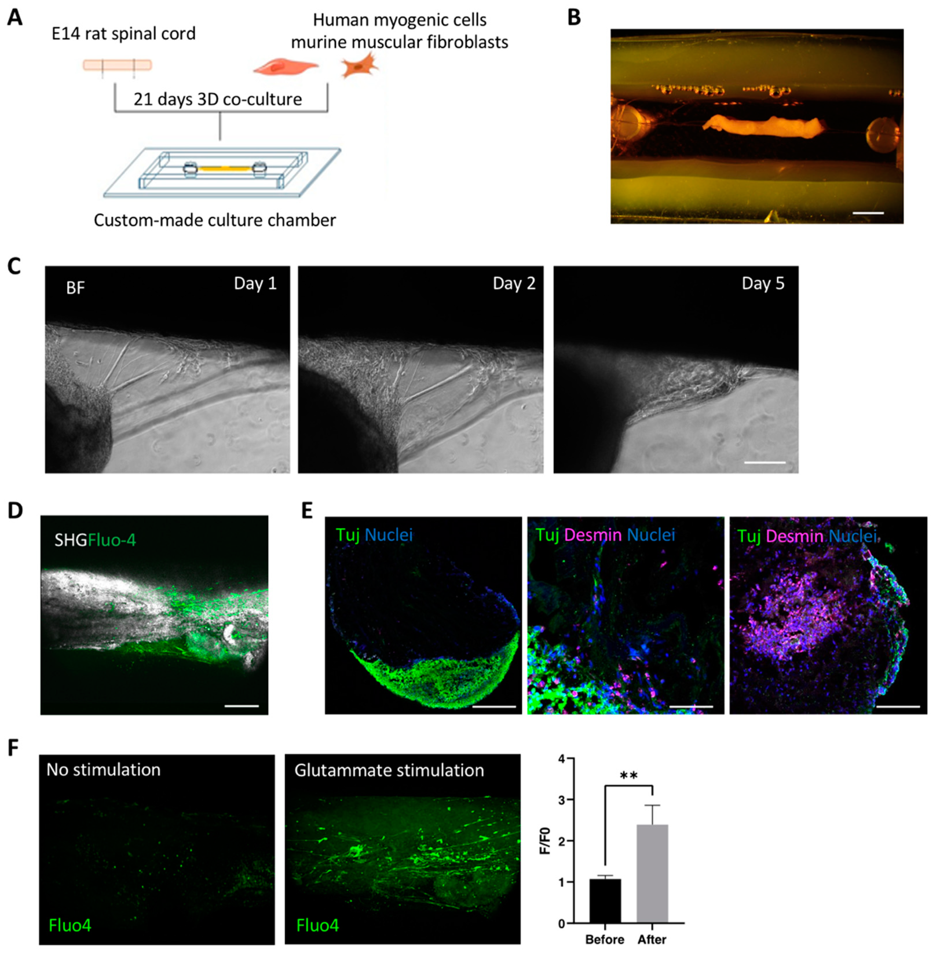 Applsci 11 09485 g003