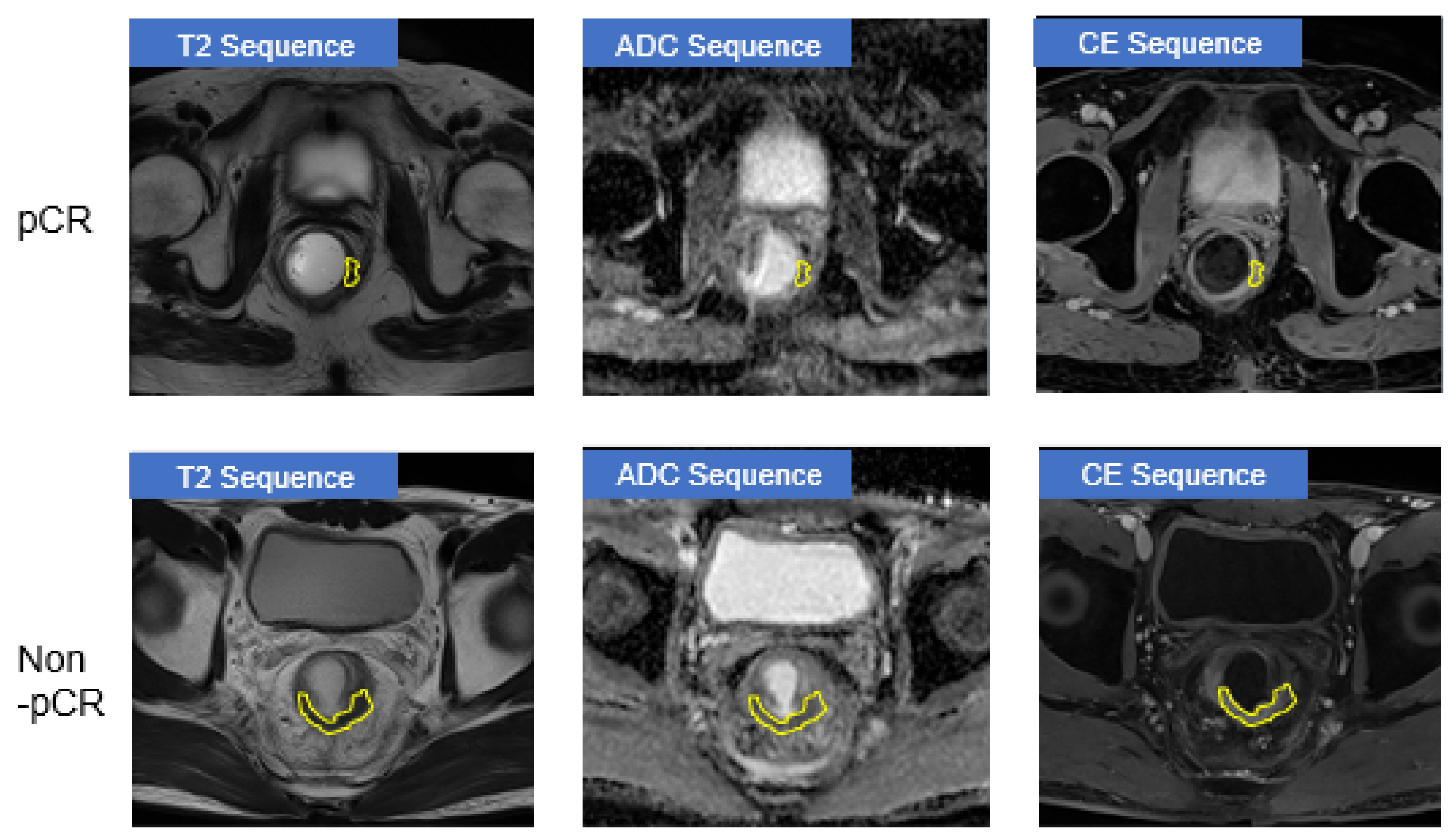Applsci 11 09494 g001 Applsci 11 09494 g001
