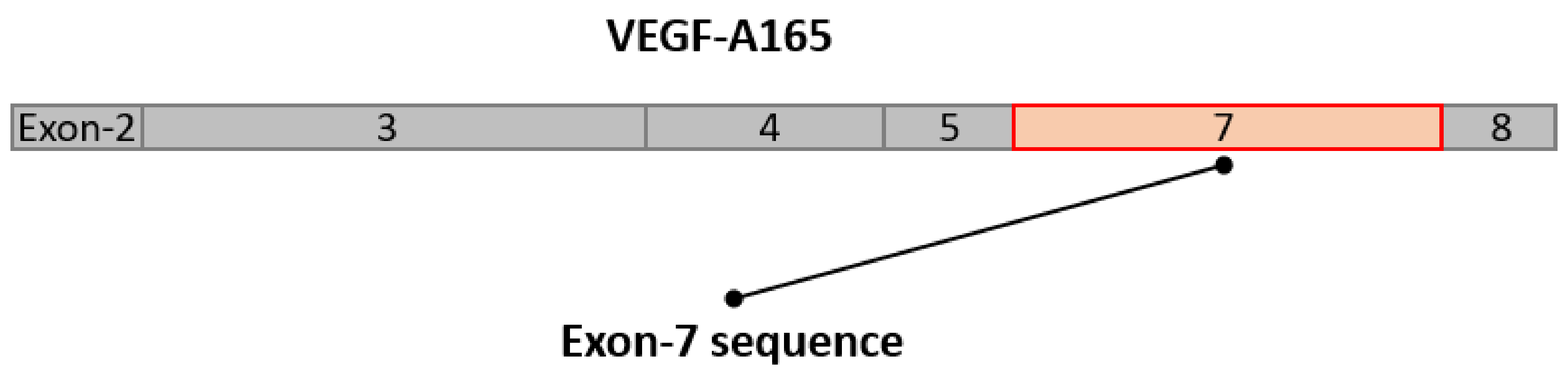 Applsci 11 09501 g001