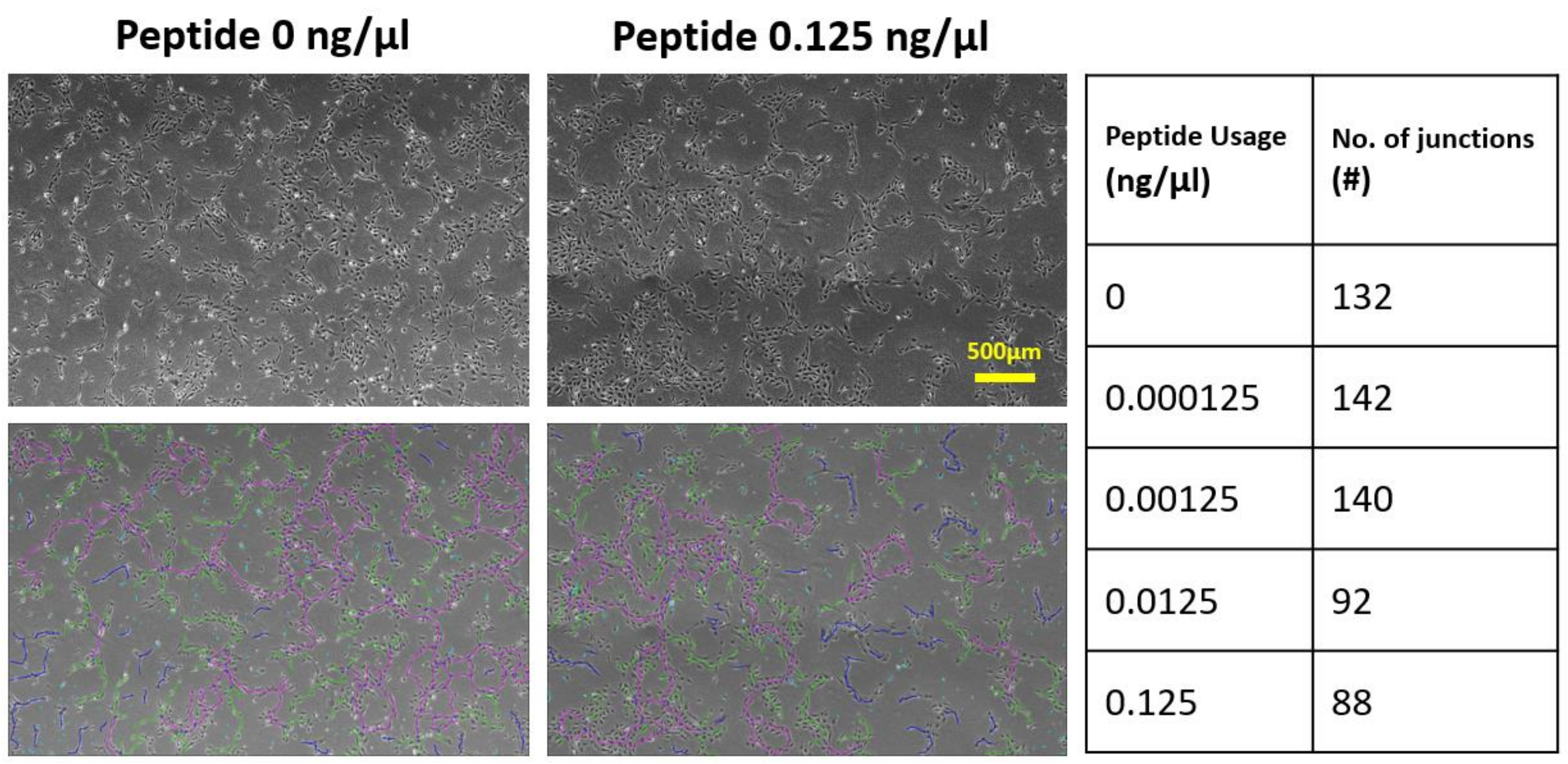 Applsci 11 09501 g004