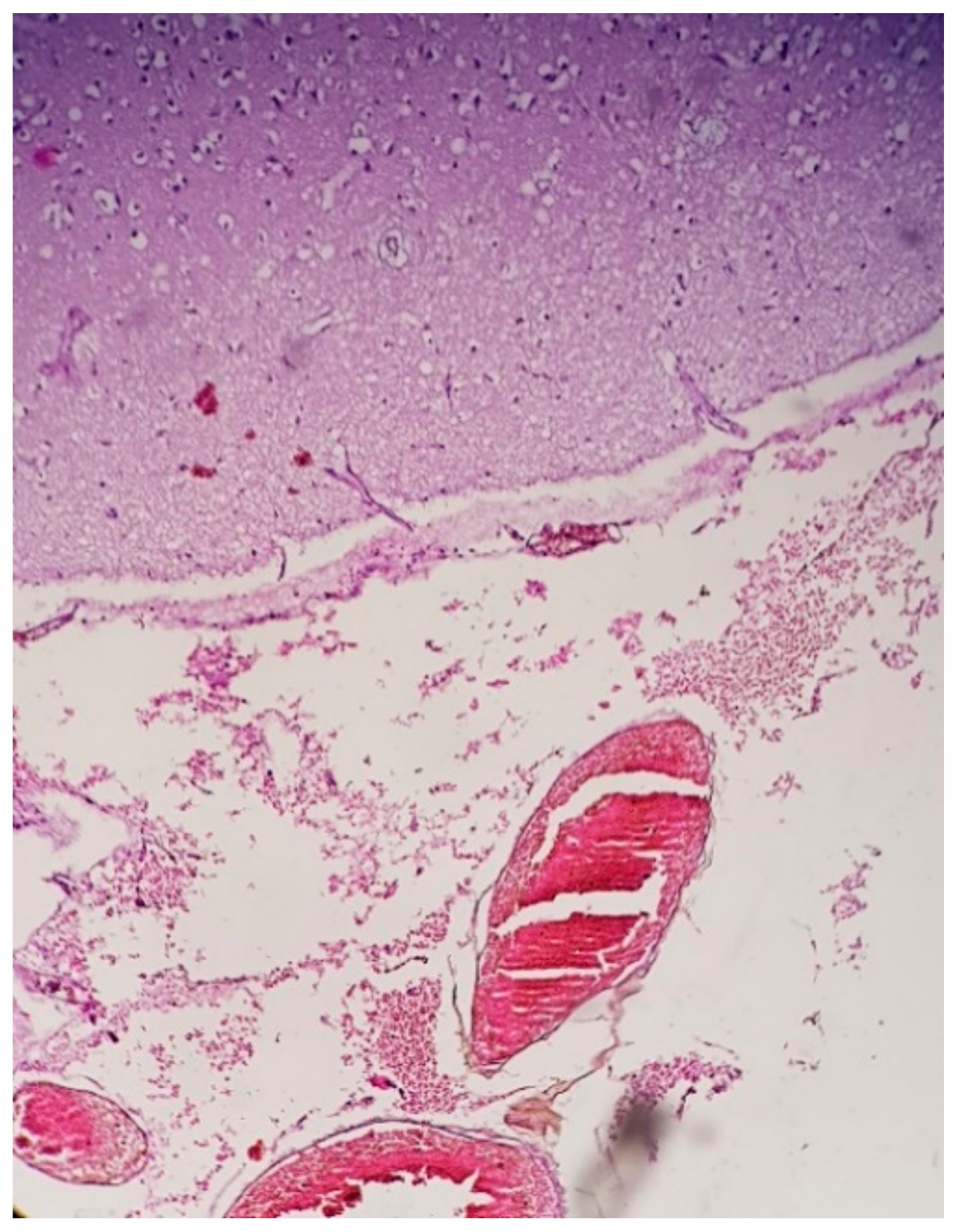 Applsci 11 09505 g001 550