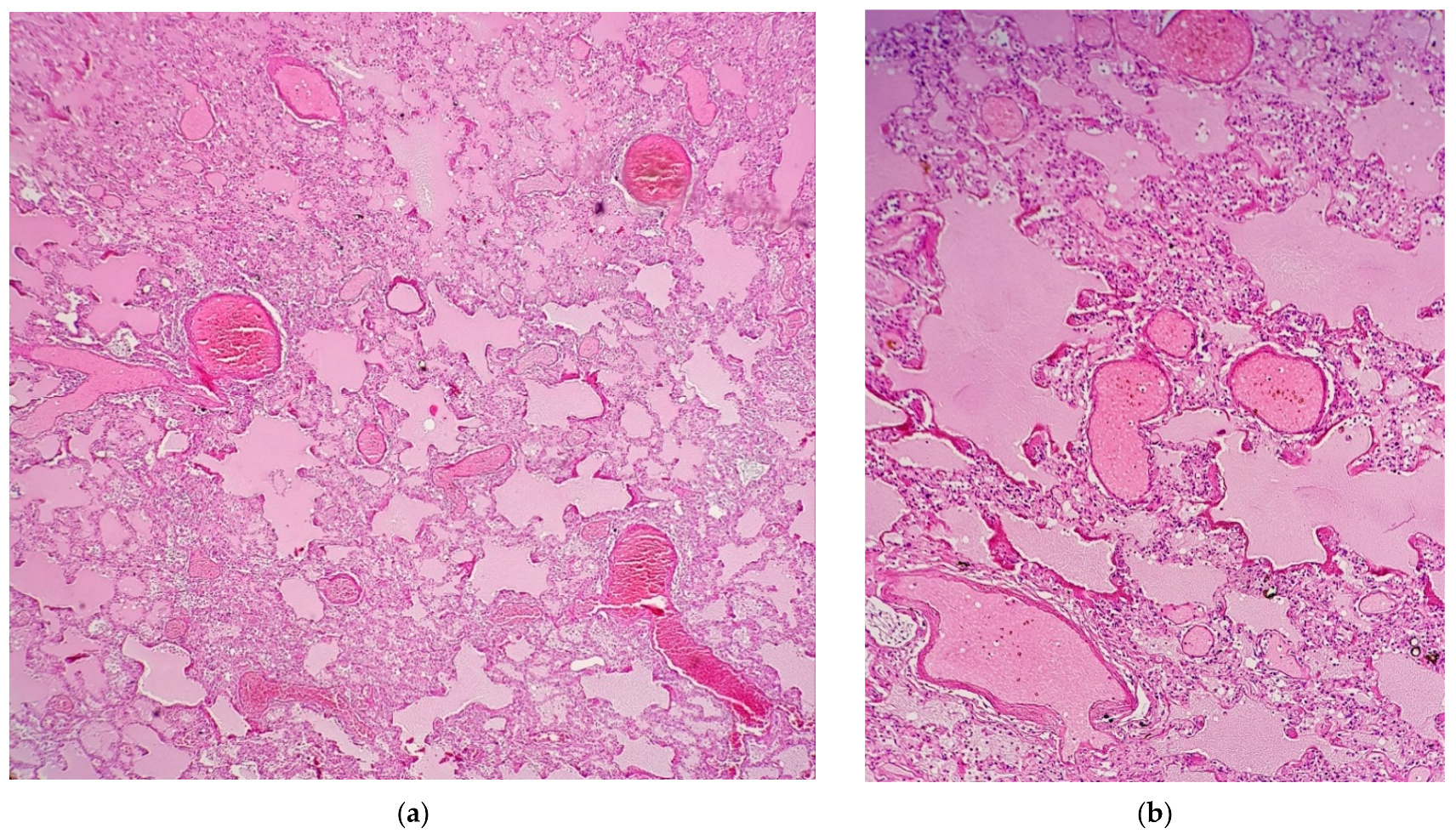 Applsci 11 09505 g002 550