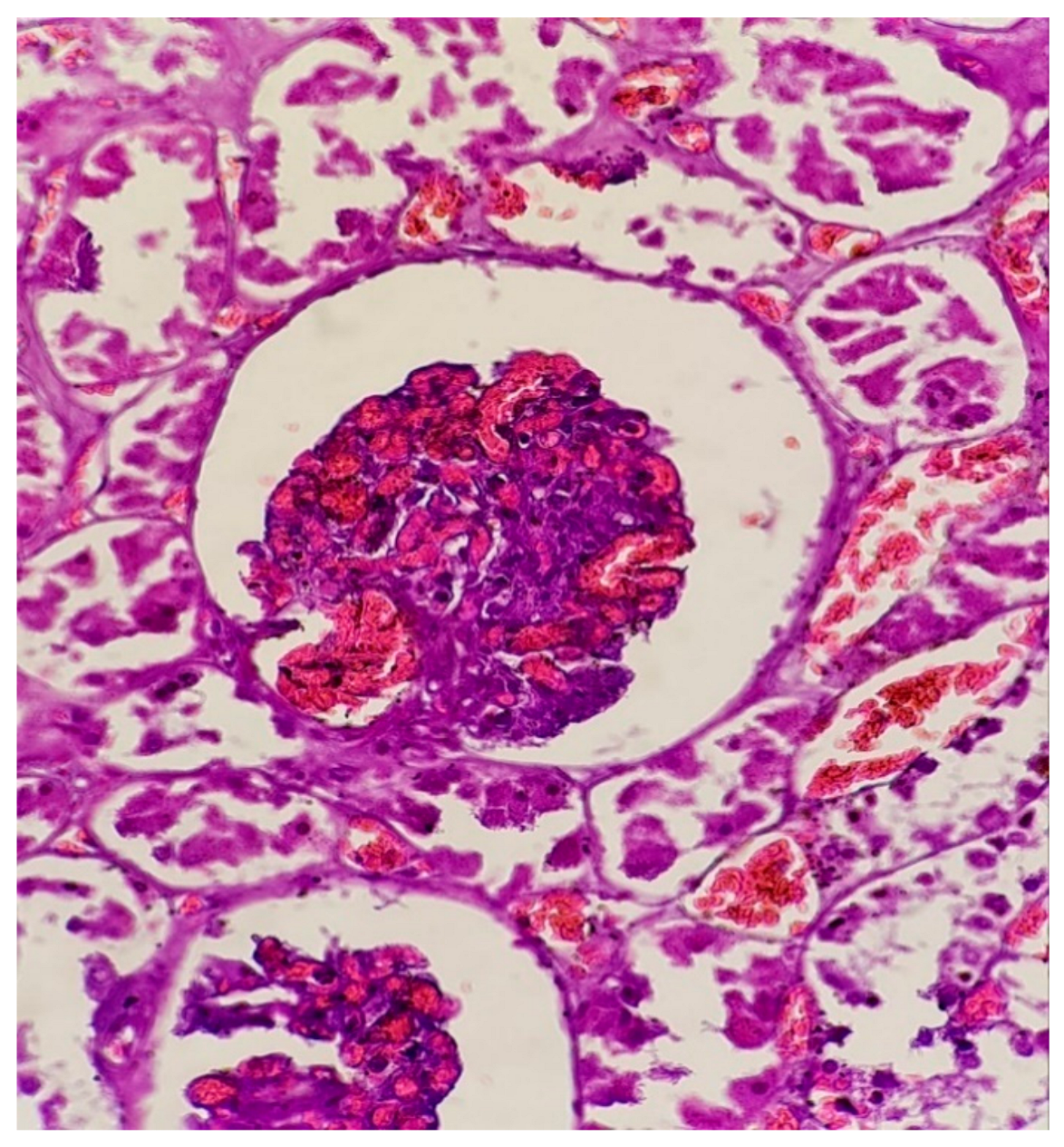 Applsci 11 09505 g003 550