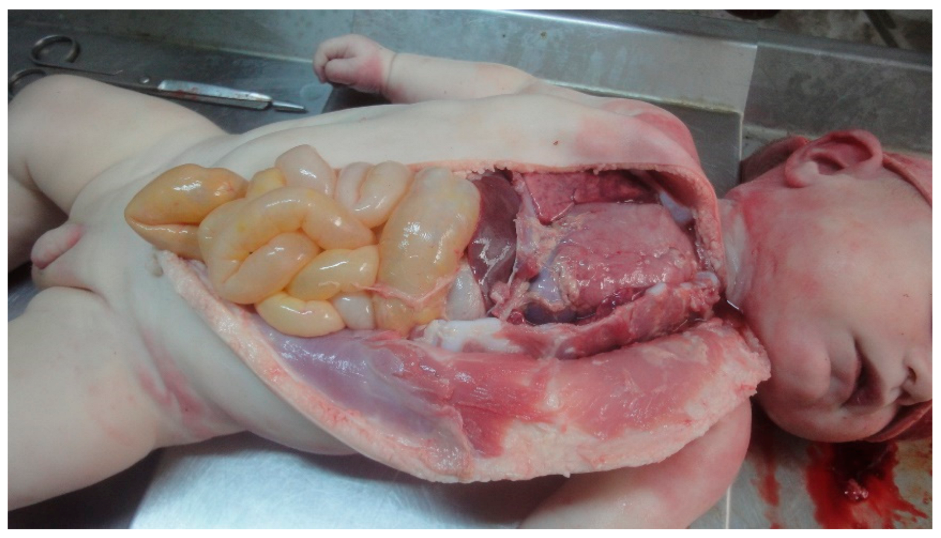 Applsci 11 09505 g005 550