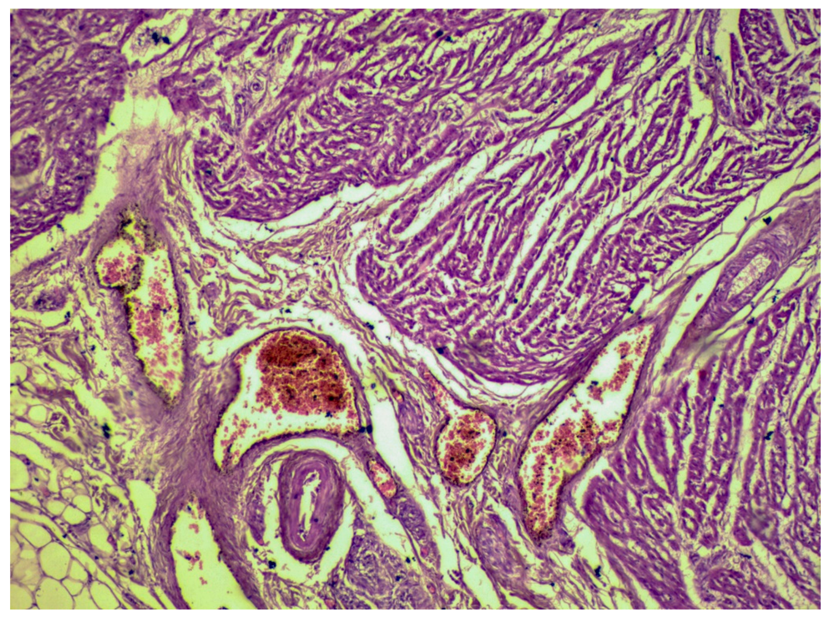 Applsci 11 09505 g007 550