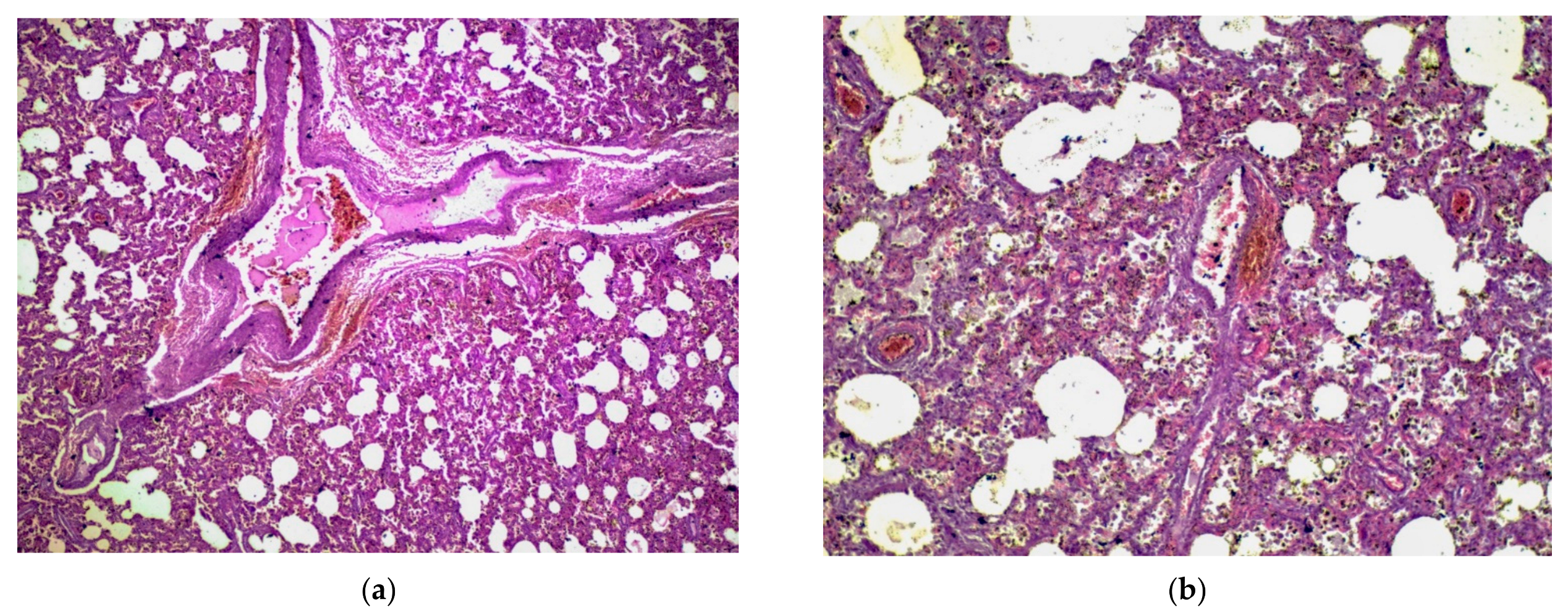 Applsci 11 09505 g008 550