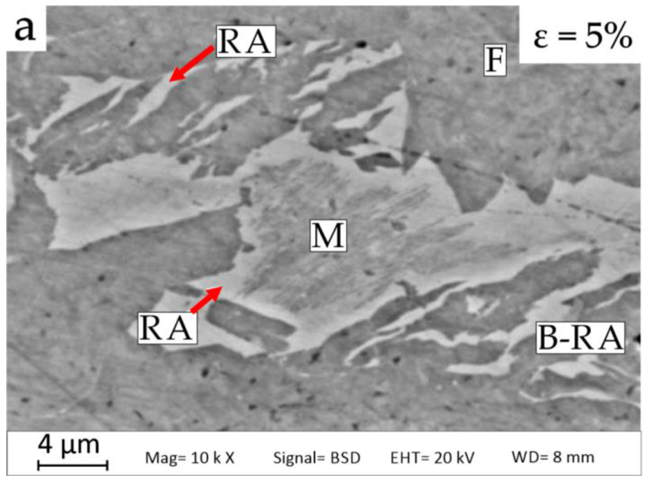 Applsci 11 09512 g003a