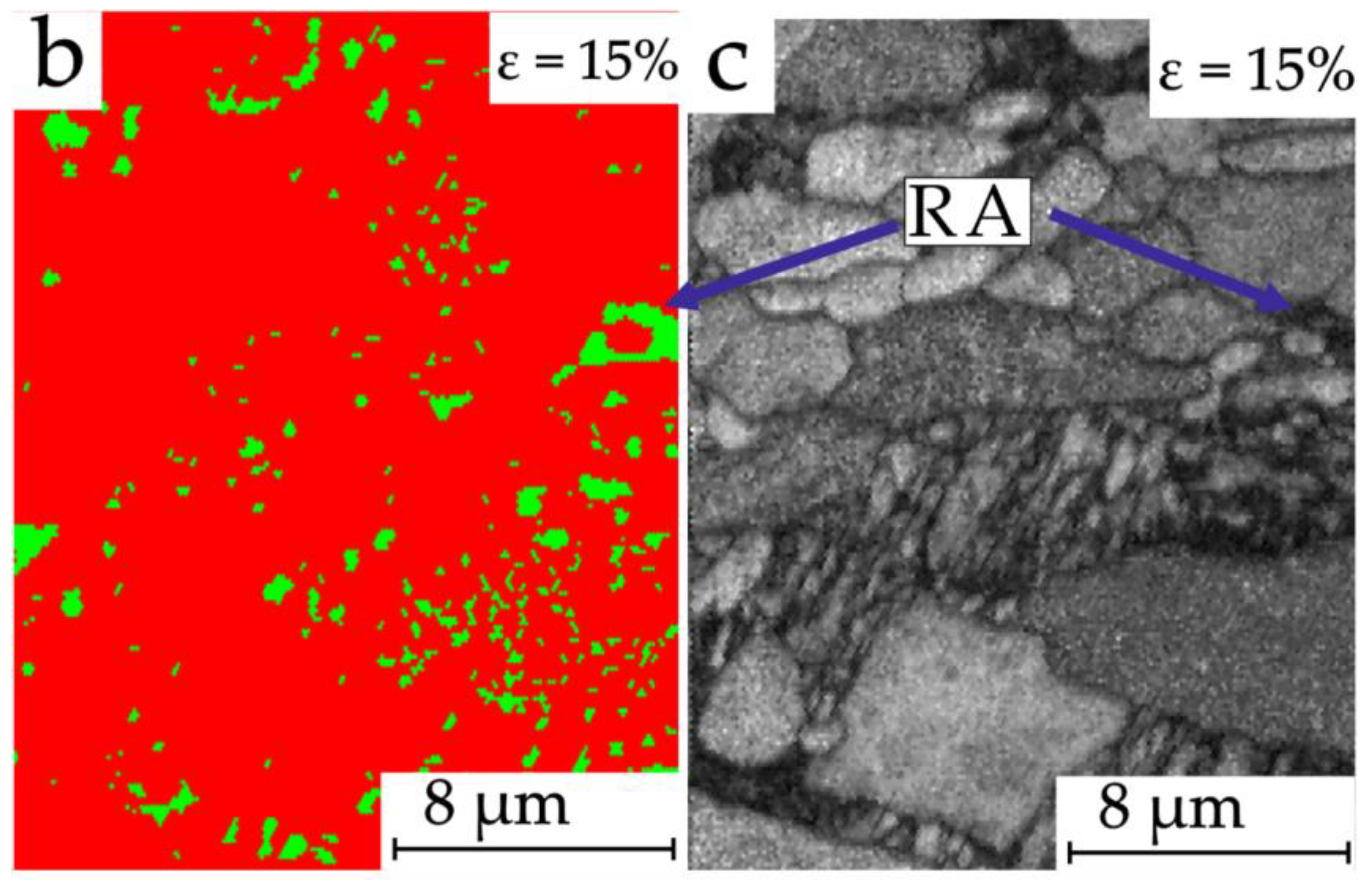 Applsci 11 09512 g003b