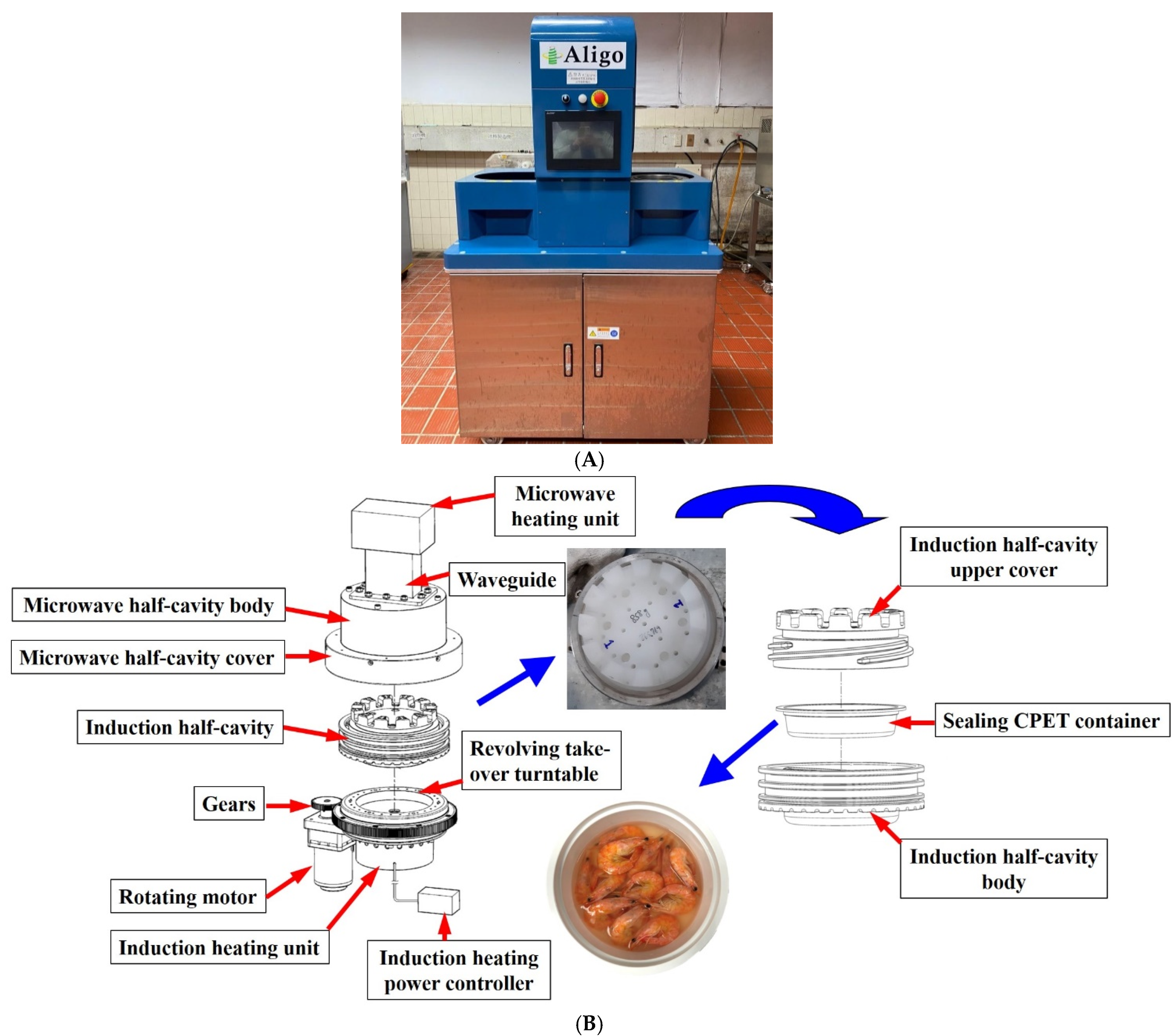 Applsci 11 09514 g001 550