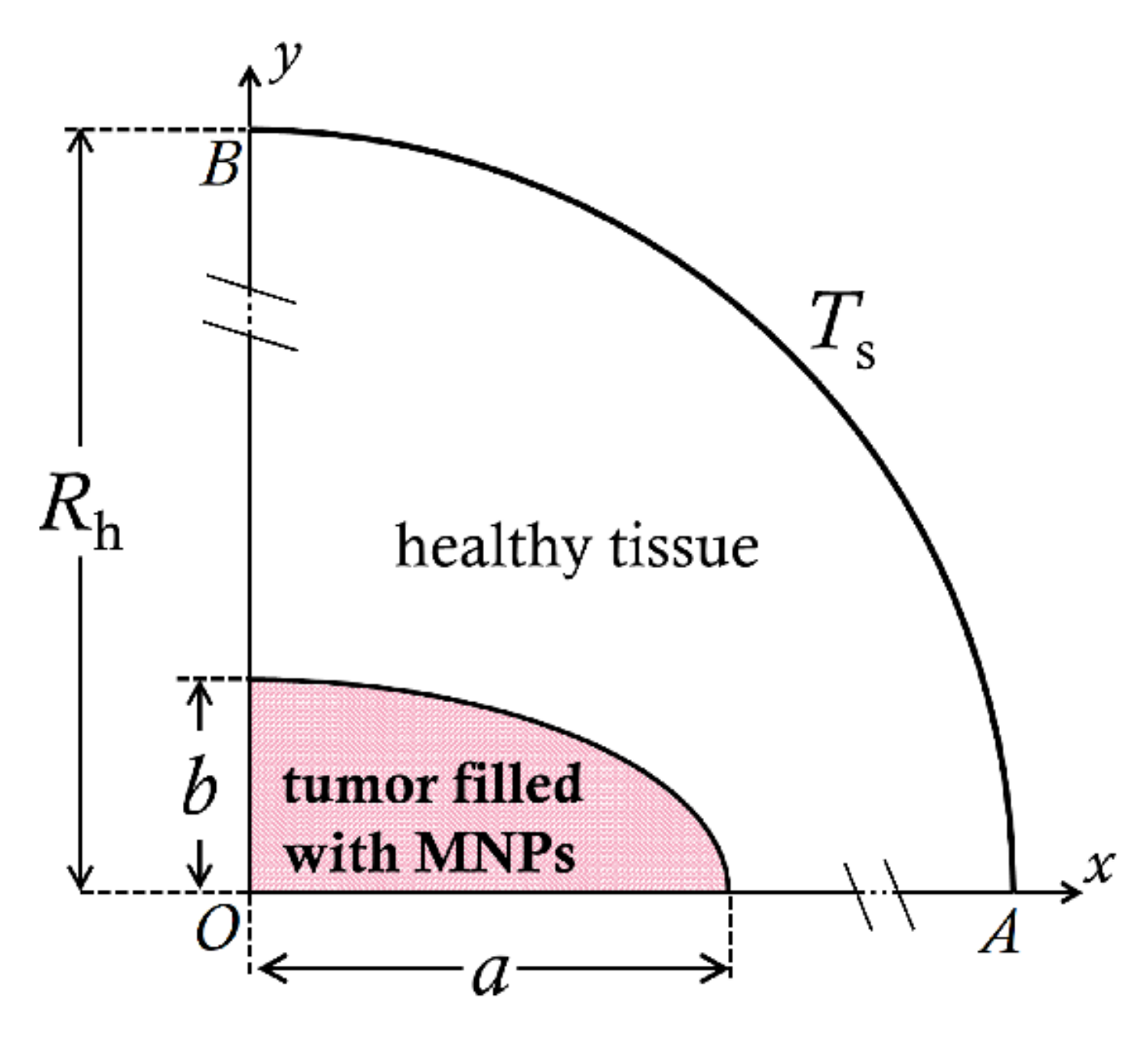 Applsci 11 09526 g002