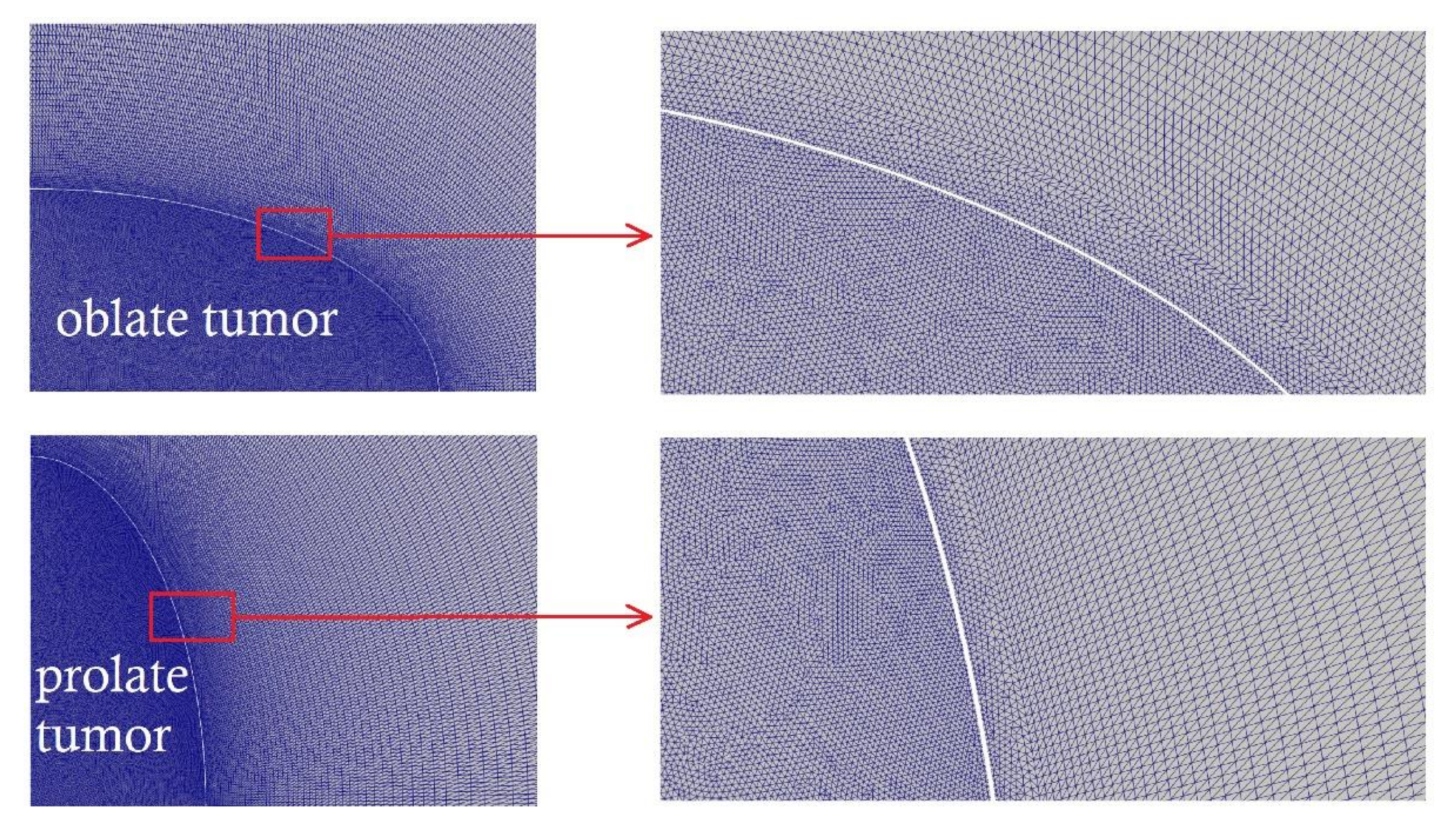 Applsci 11 09526 g003