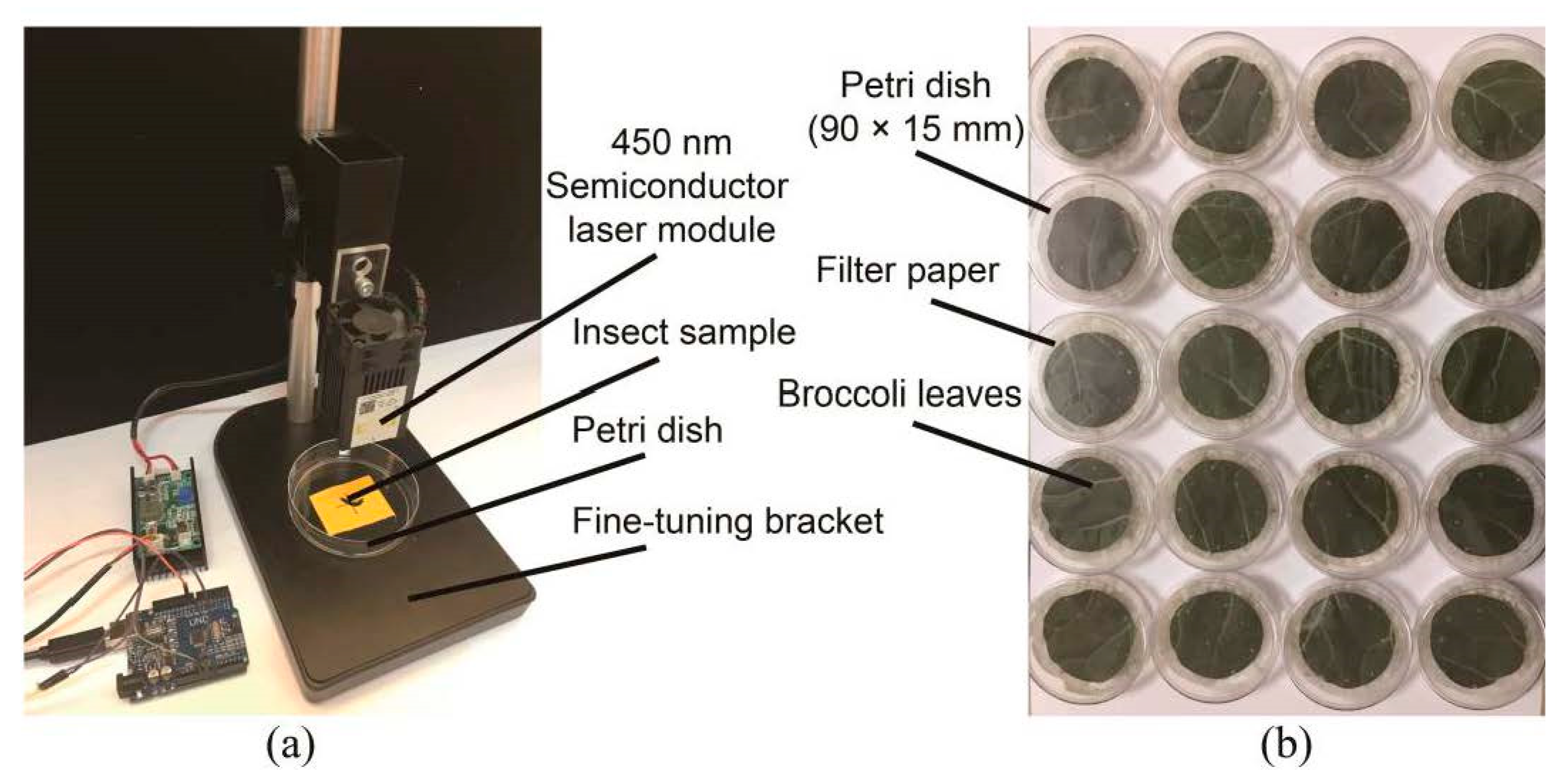 Applsci 11 09533 g001 Applsci 11 09533 g001