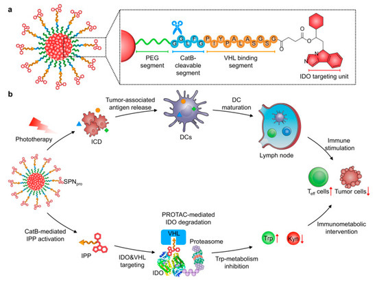 Stimuli-Responsive Polymeric Nanosystems for Controlled Drug